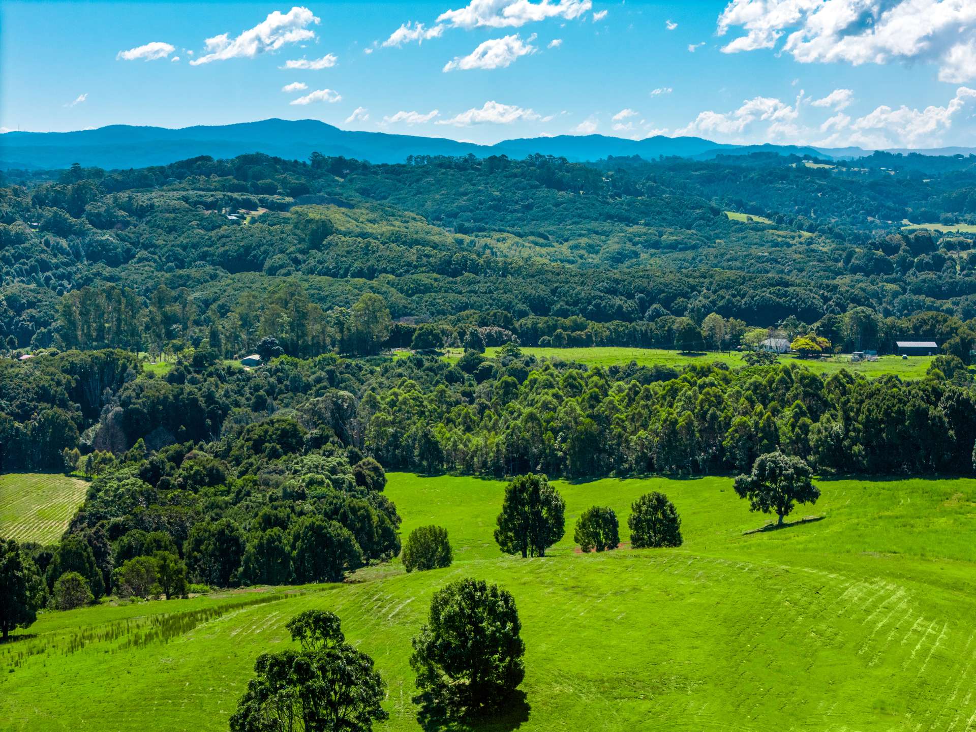 730 Lismore Road, Nashua For Sale by Farmbuy.com - image 6