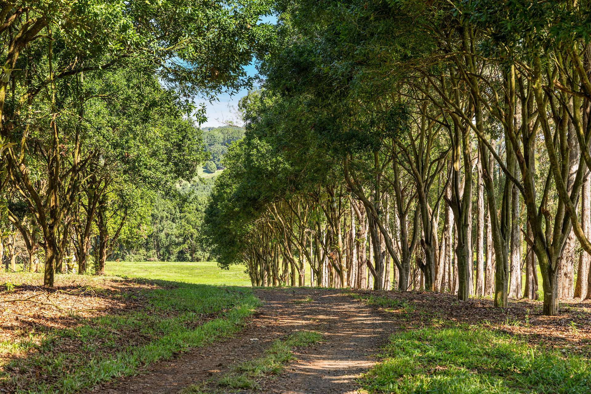 730 Lismore Road, Nashua For Sale by Farmbuy.com - image 14