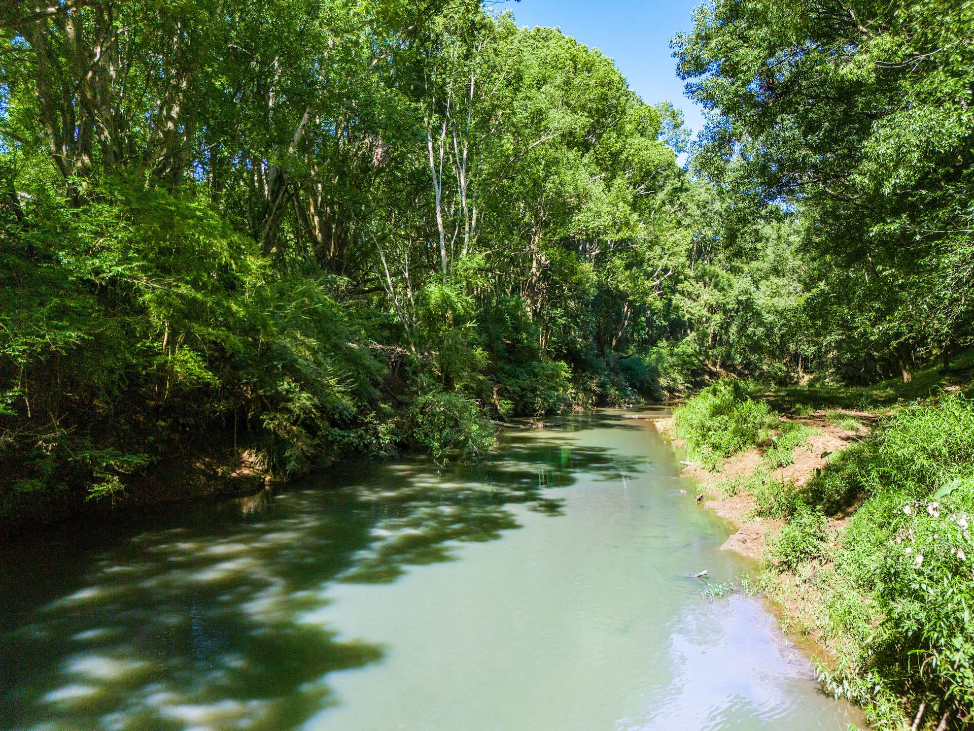 730 Lismore Road, Nashua For Sale by Farmbuy.com - image 20