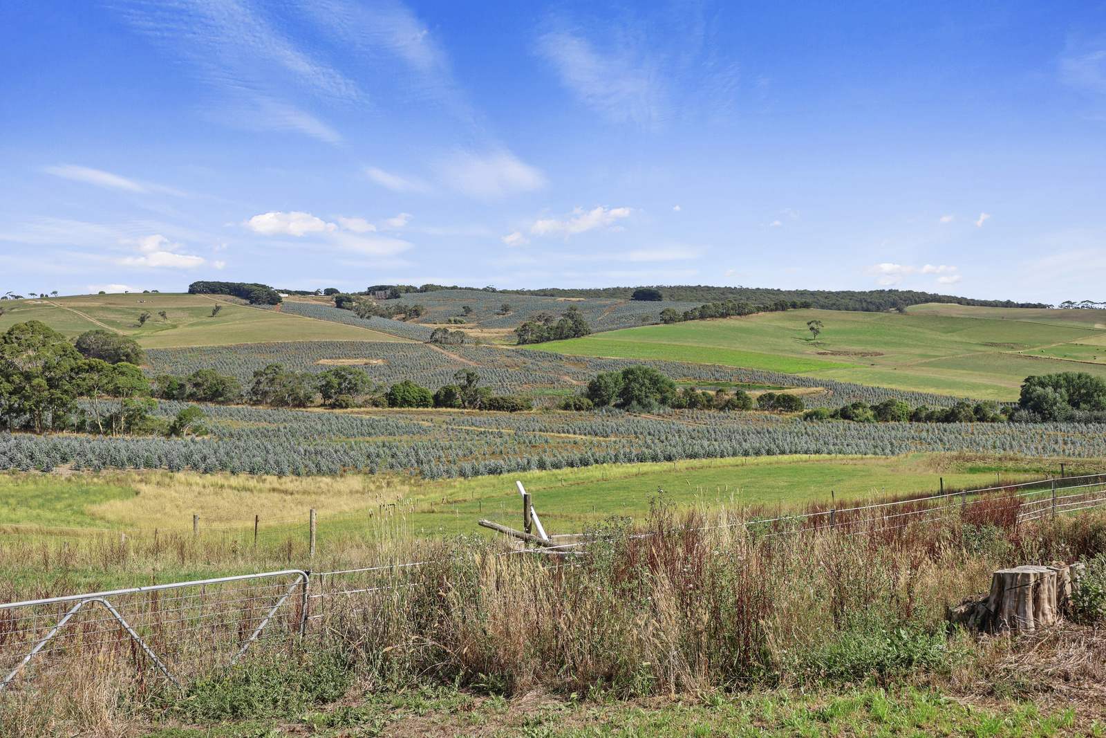 900 Williams Road, Scotts Creek For Sale by Farmbuy.com - image 20