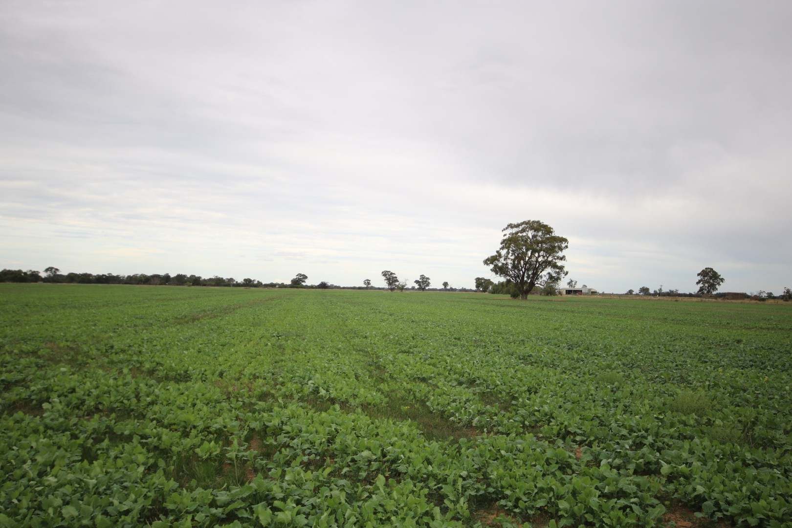 34 Stone Lane, Rochester For Sale by Farmbuy.com - image 4