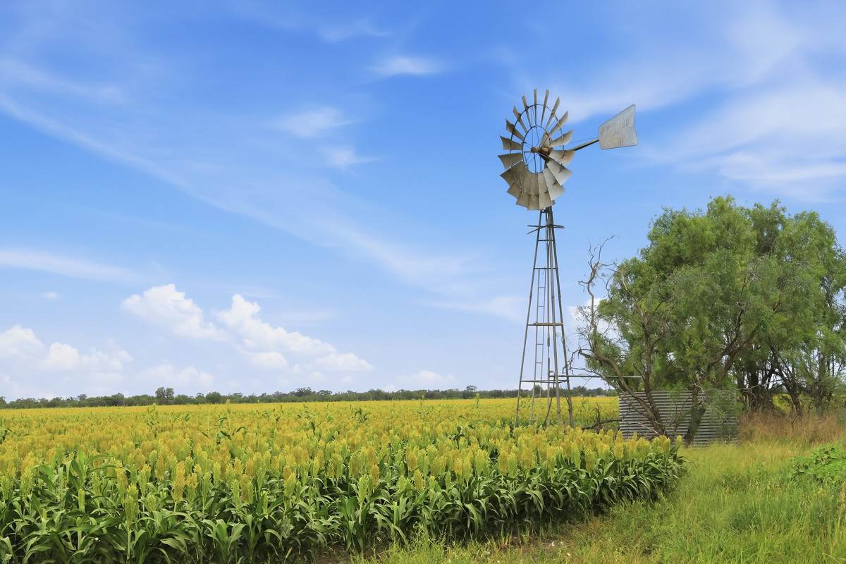 'Trenayr' & 'Nanima' 2022 Terry Hie Hie Road, Moree Auction by Farmbuy.com - image 5