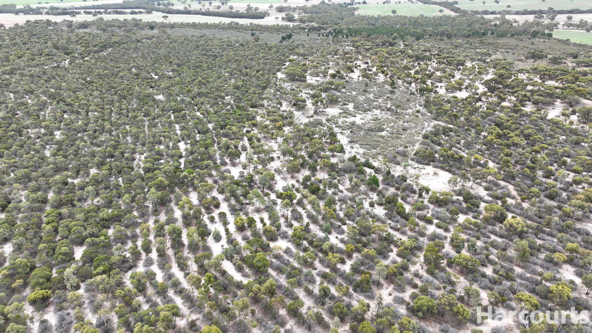 Lot 2 Mitre Road, Nurcoung For Sale by Farmbuy.com - image 28