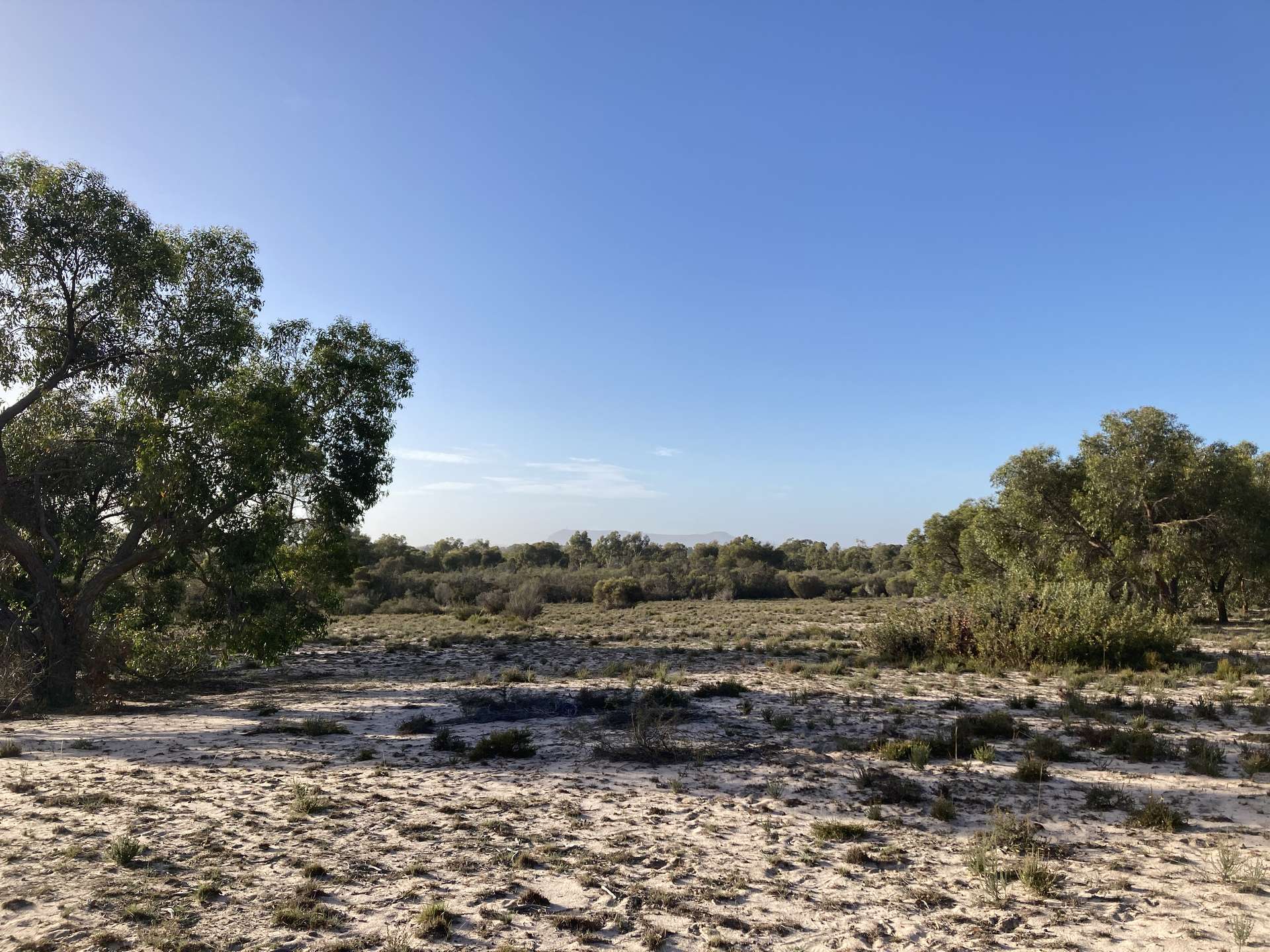 Lot 2 Mitre Road, Nurcoung For Sale by Farmbuy.com - image 4