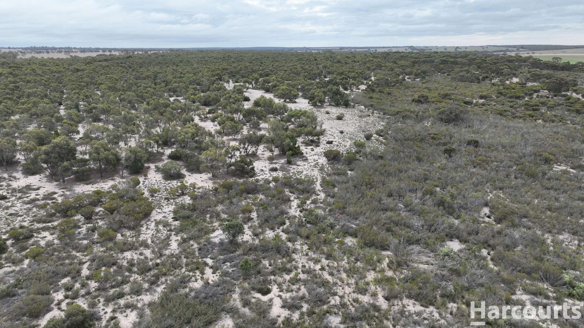 Lot 2 Mitre Road, Nurcoung For Sale by Farmbuy.com - image 25