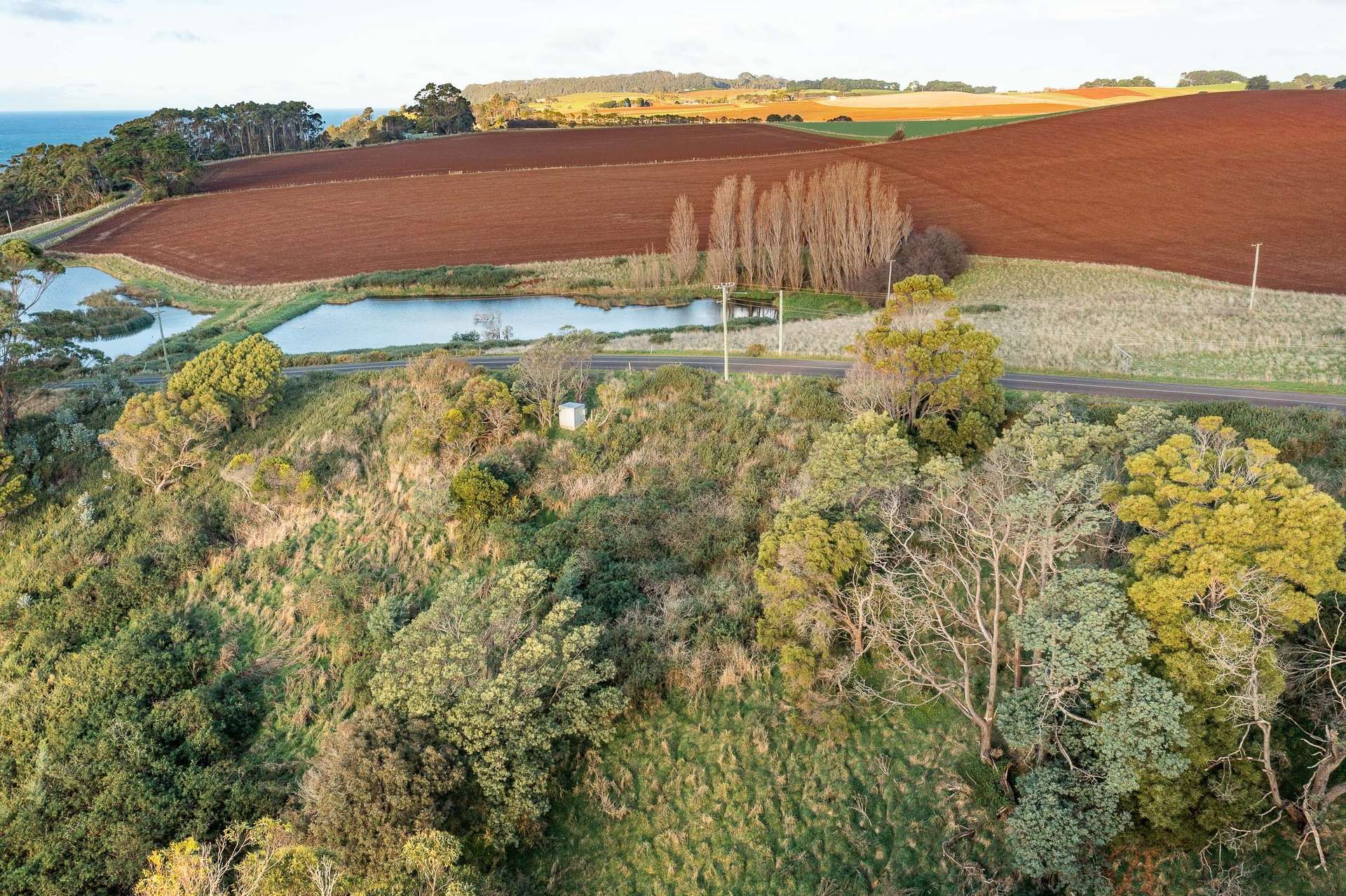 472 Tollymore Road, Table Cape For Sale by Farmbuy.com - image 22