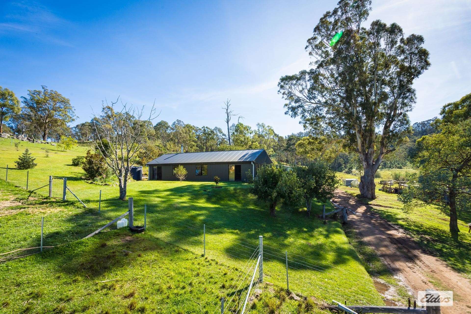613 New Buildings Road, Wyndham For Sale by Farmbuy.com - image 31