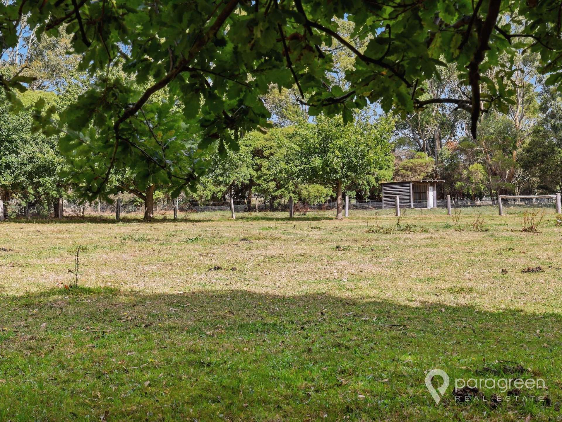 230 Lower Franklin Road, Foster For Sale by Farmbuy.com - image 20