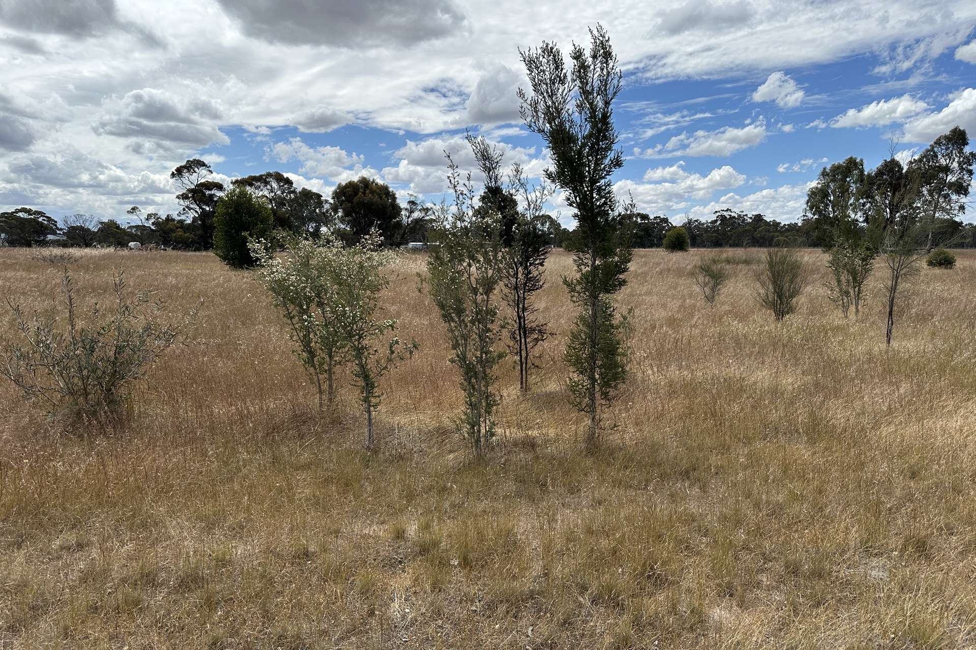 66 Paul Valley Road, Tambellup For Sale by Farmbuy.com - image 12