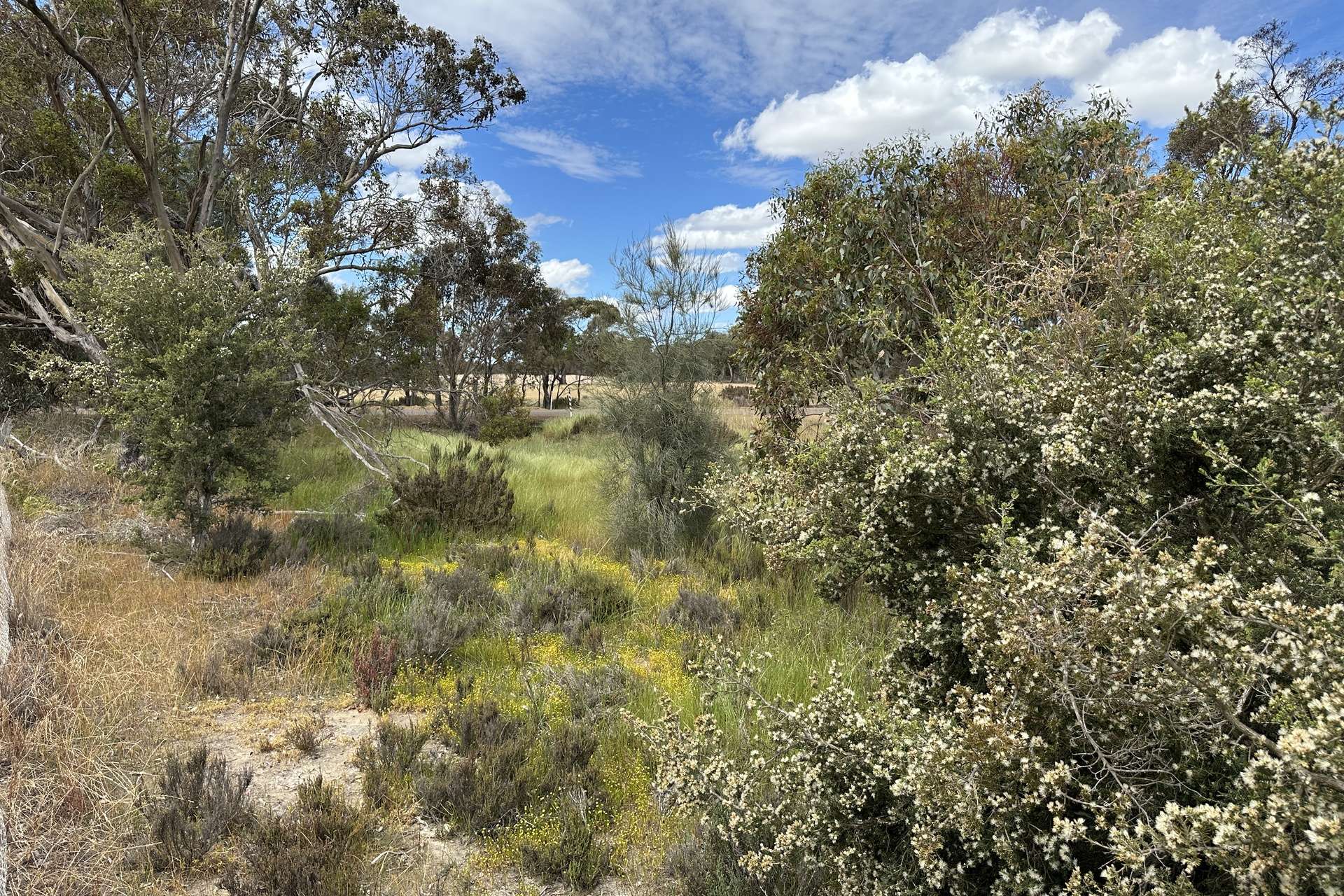 66 Paul Valley Road, Tambellup For Sale by Farmbuy.com - image 8