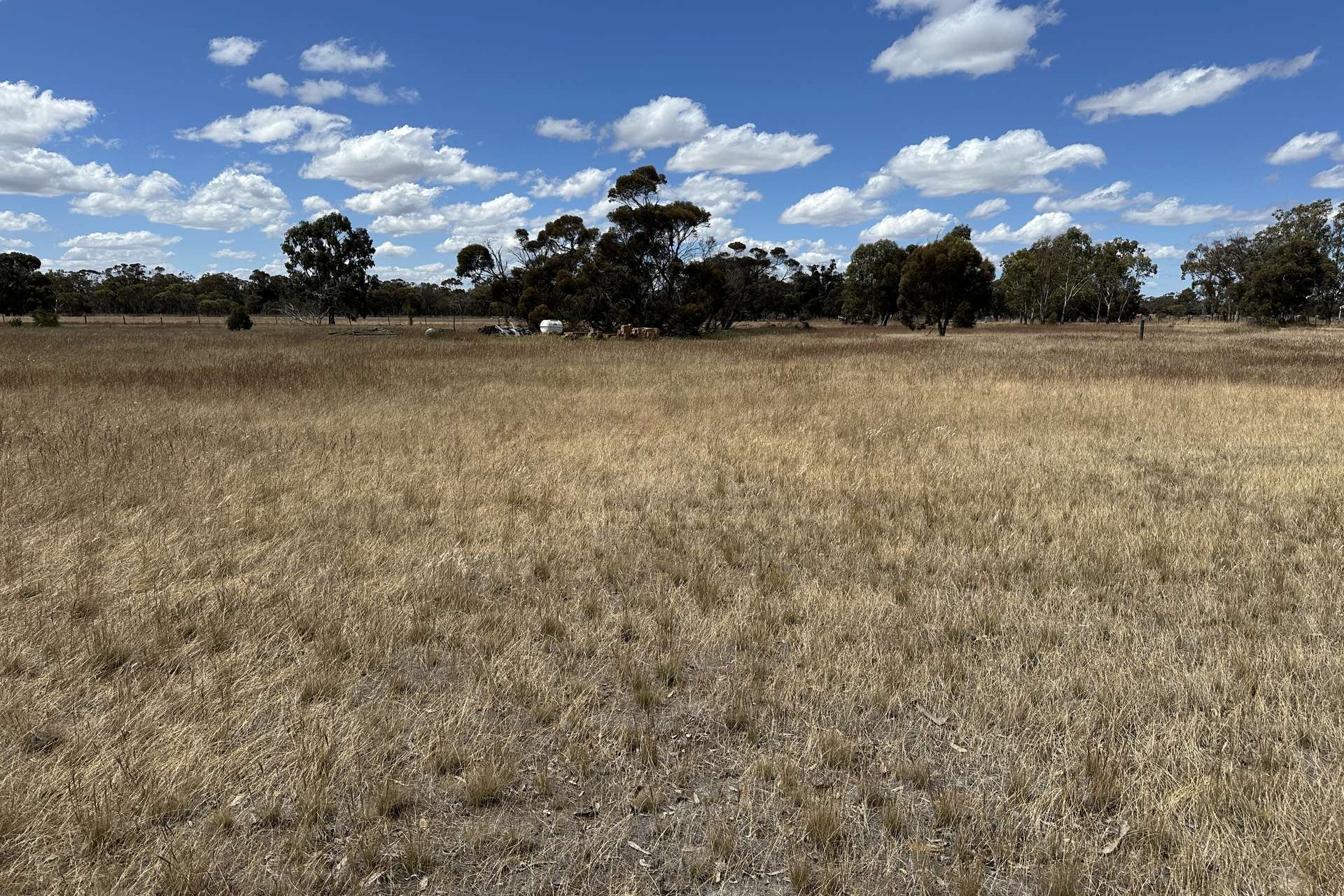 66 Paul Valley Road, Tambellup For Sale by Farmbuy.com - image 6