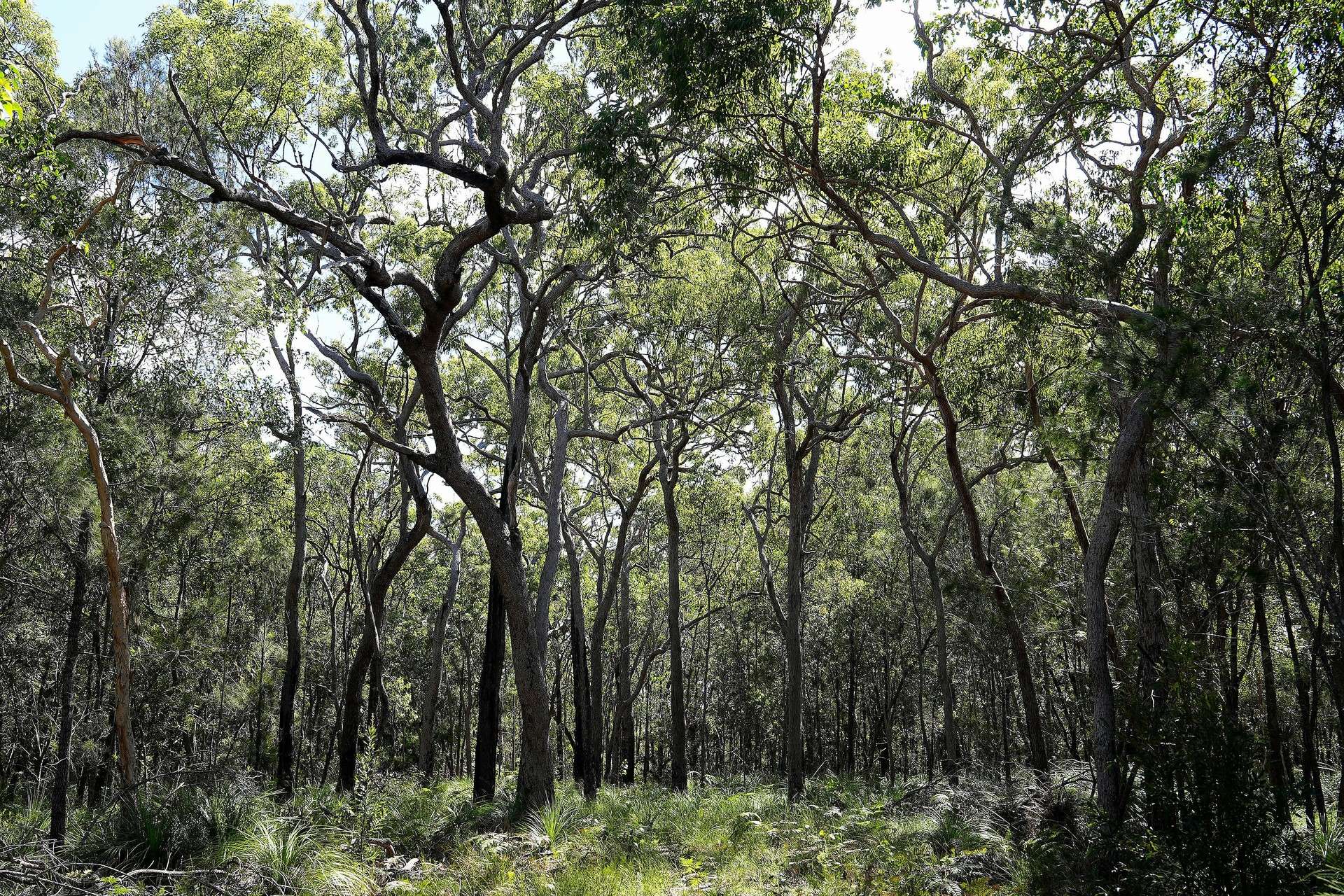 2109 Round Hill Road, Agnes Water For Sale by Farmbuy.com - image 9