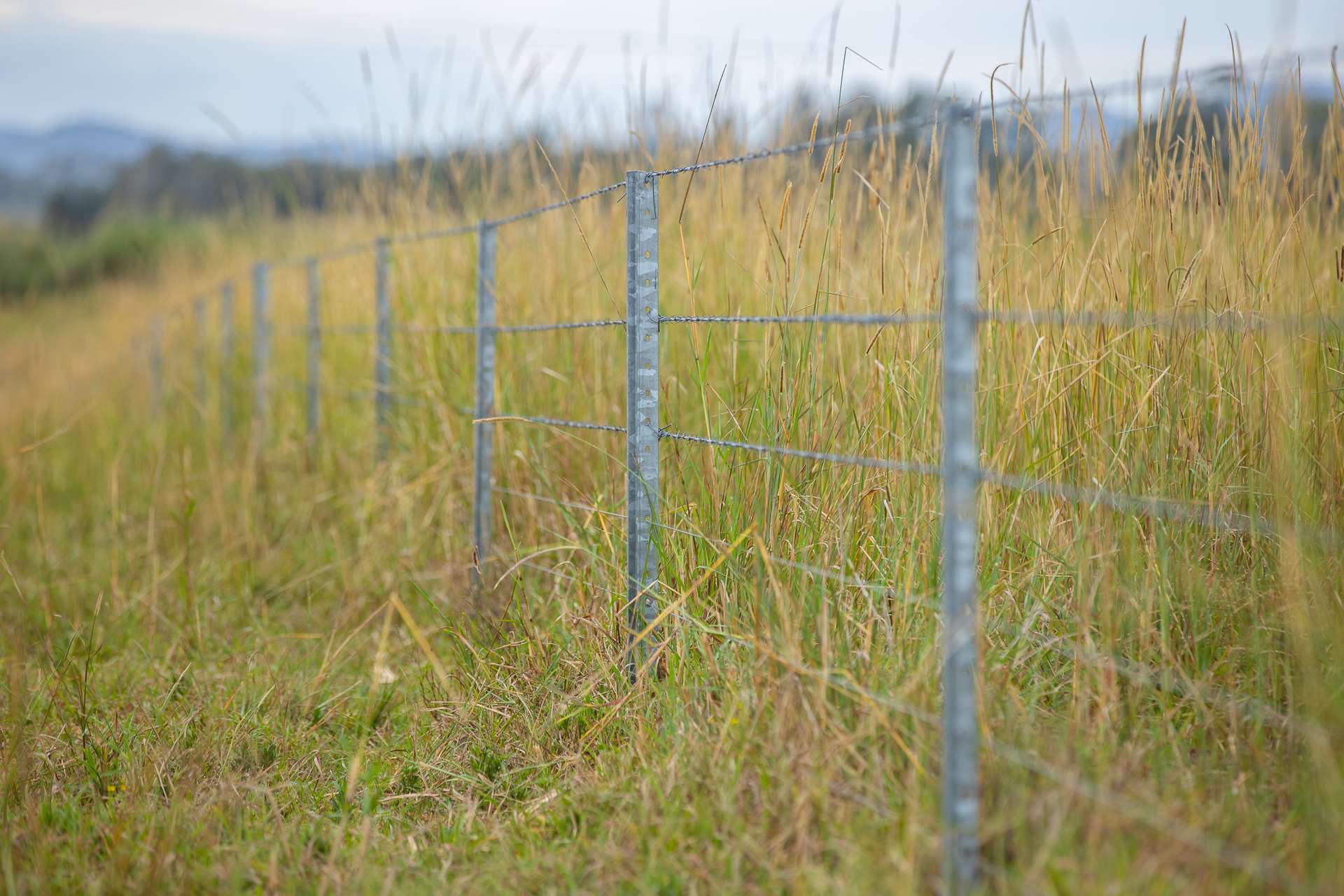 58 Boormans Lane, Grafton For Sale by Farmbuy.com - image 19