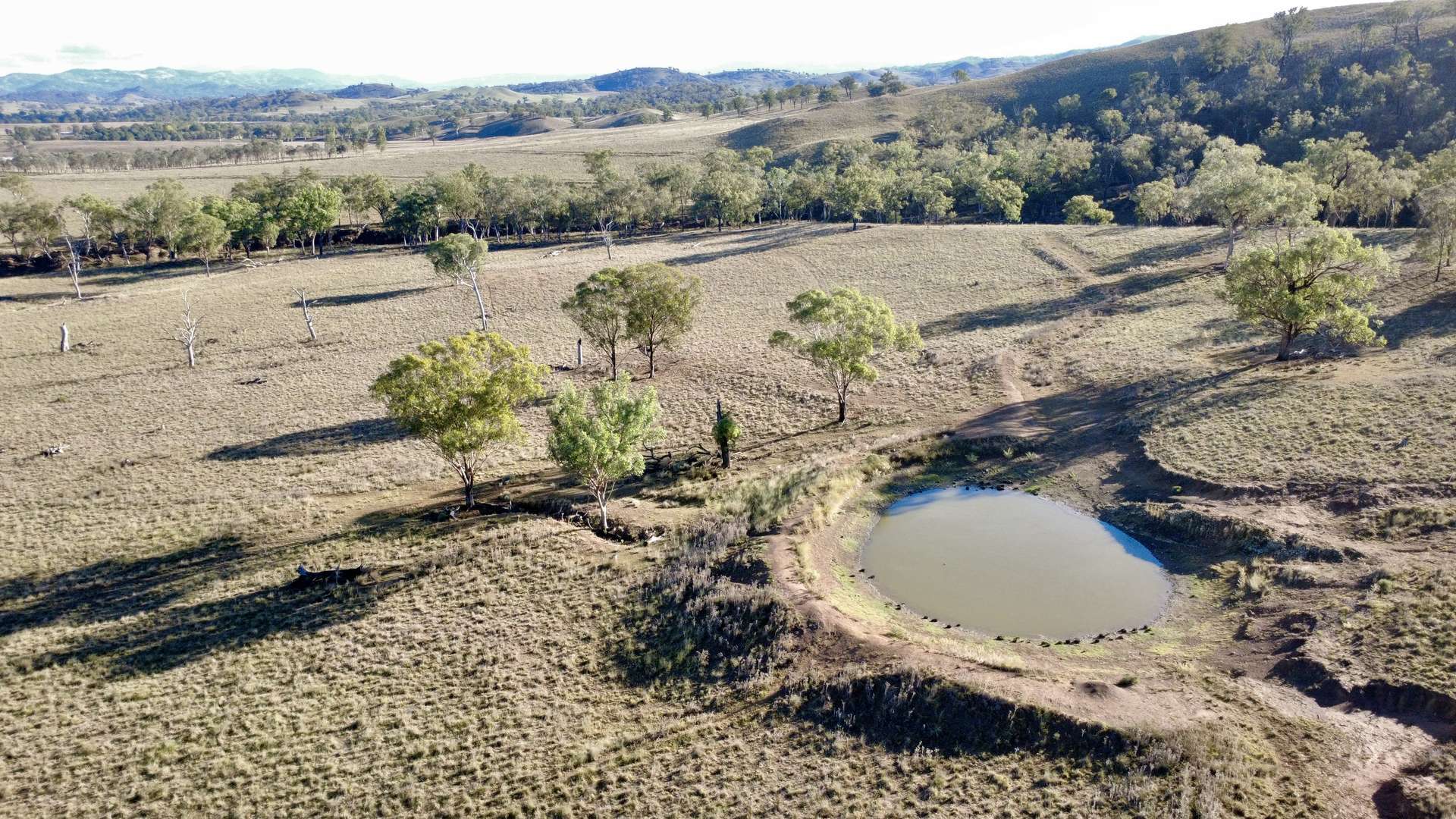 "Waverly Paddock" Waverley Road Waverly (Via), Scone Auction by Farmbuy.com - image 7