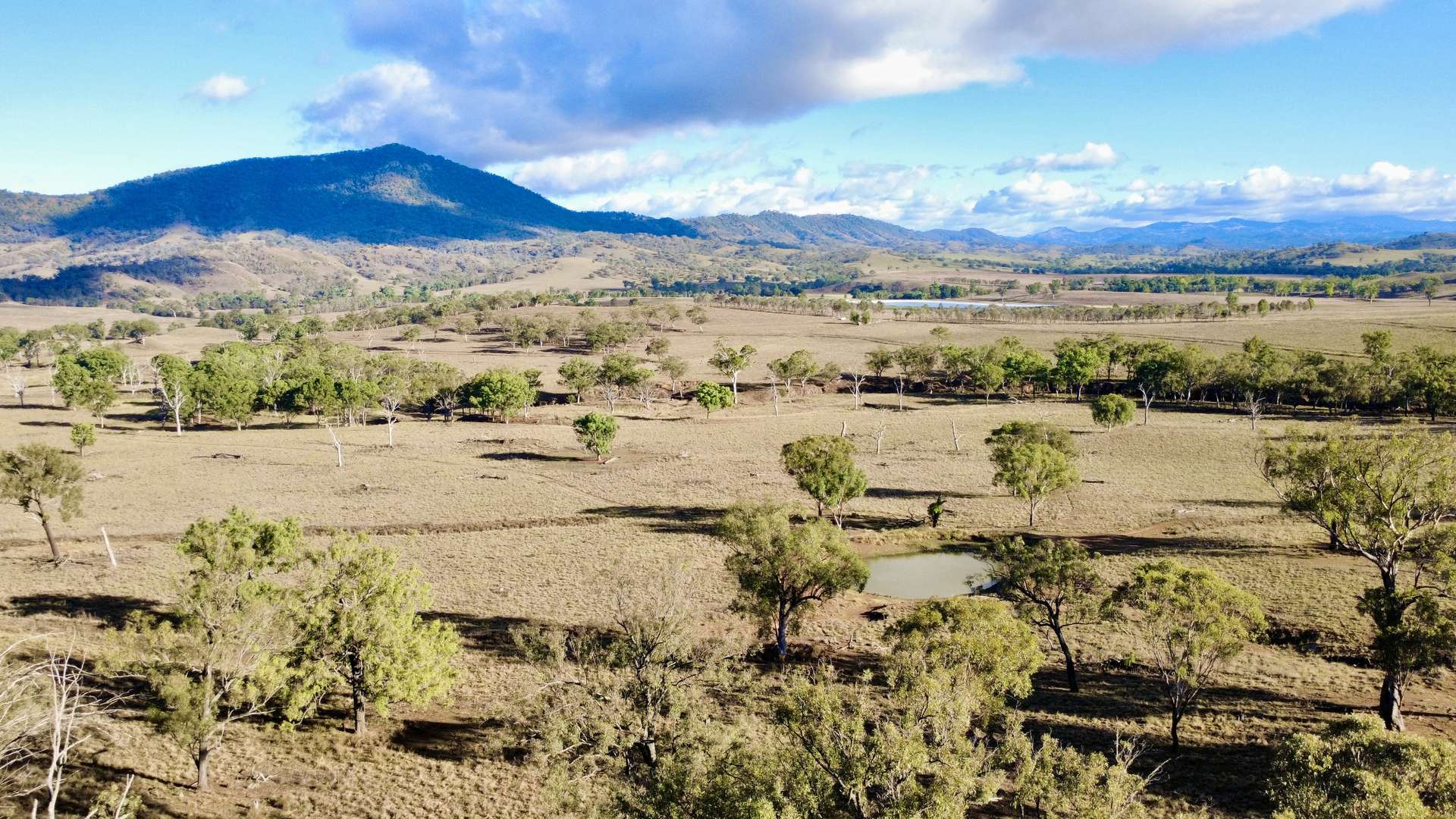 "Waverly Paddock" Waverley Road Waverly (Via), Scone Auction by Farmbuy.com - image 8