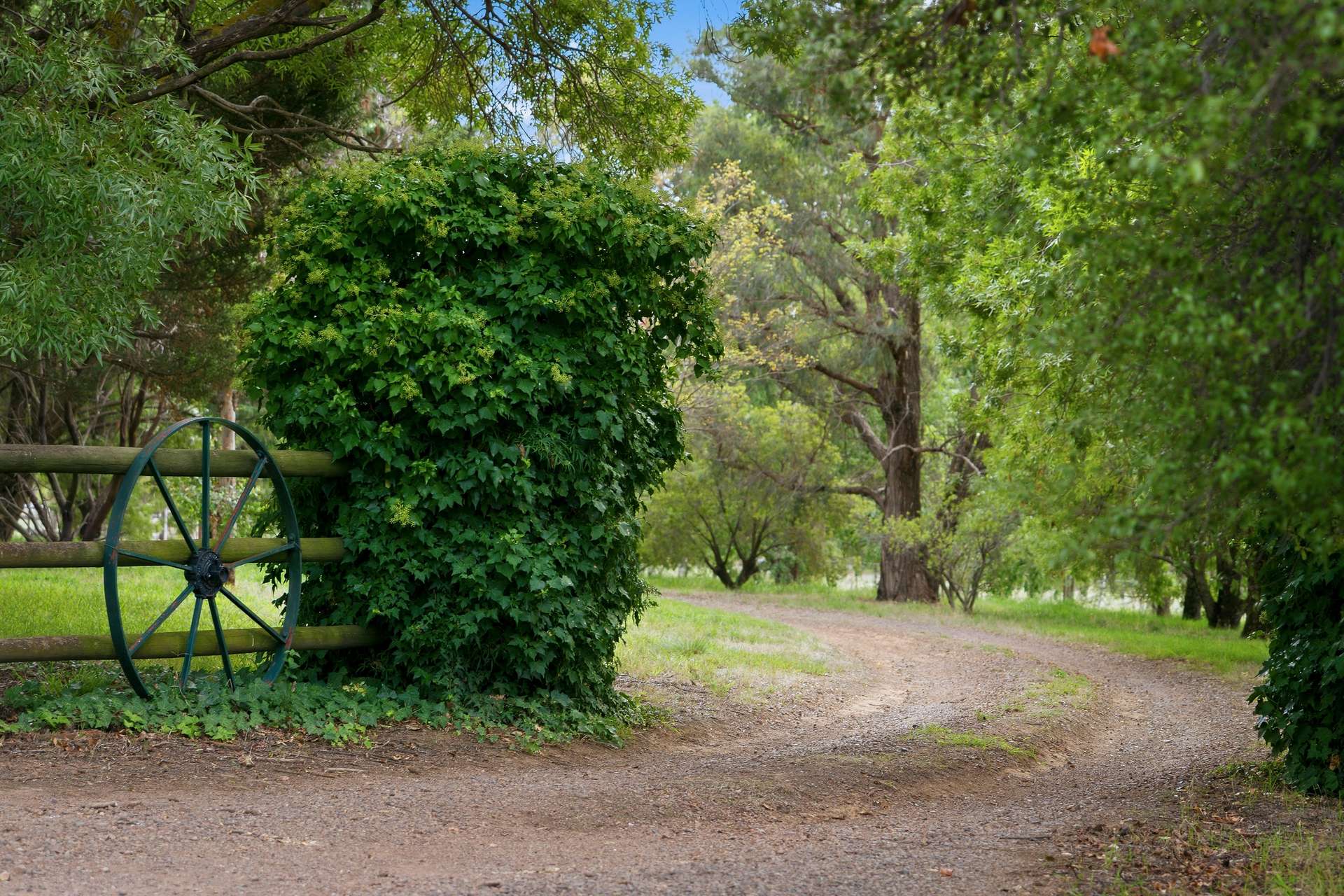 34 Mandurama Road, Mandurama Auction by Farmbuy.com - image 25