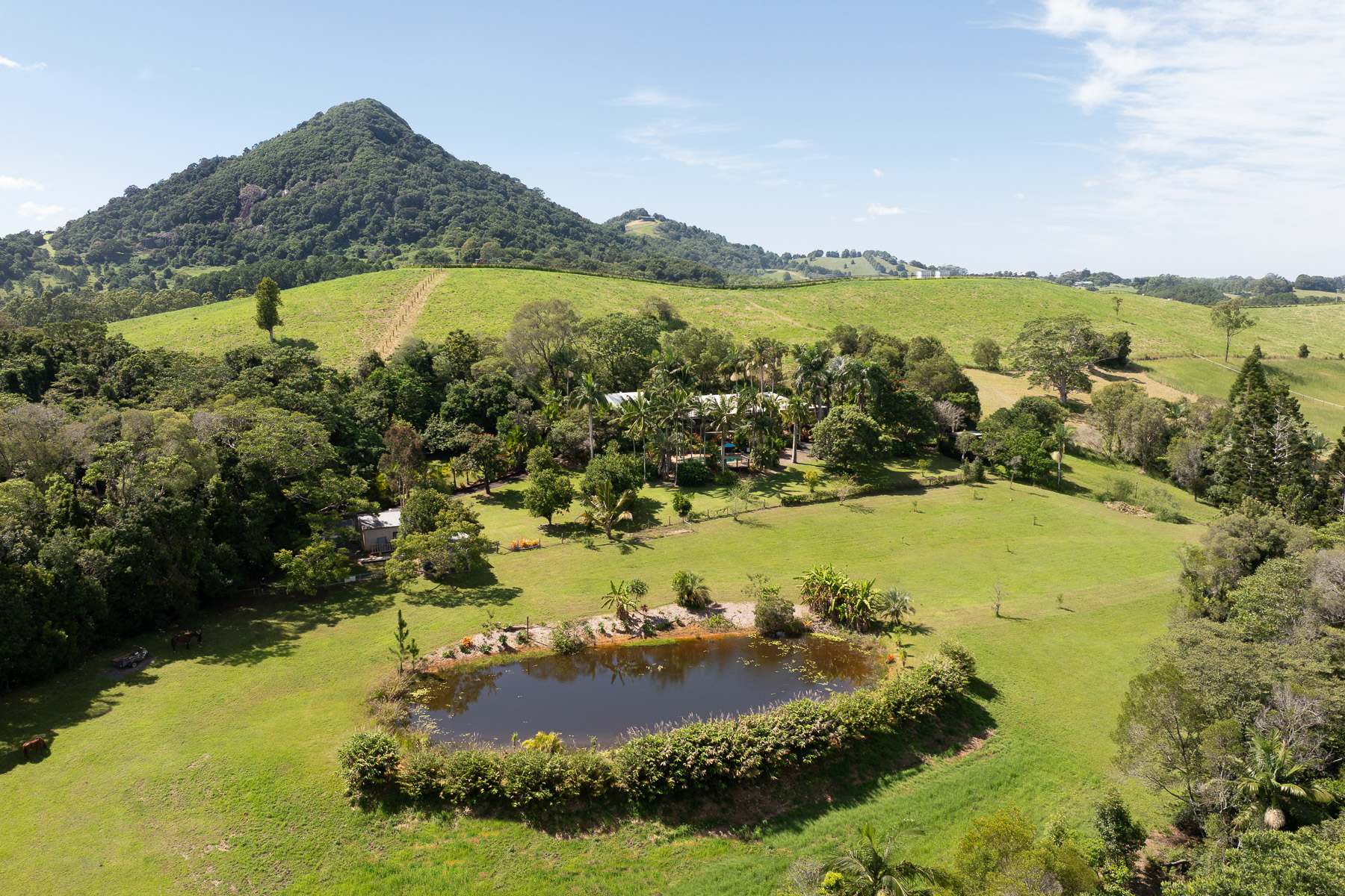 262 Cooroy Mountain Road, Cooroy Mountain For Sale by Farmbuy.com - image 23