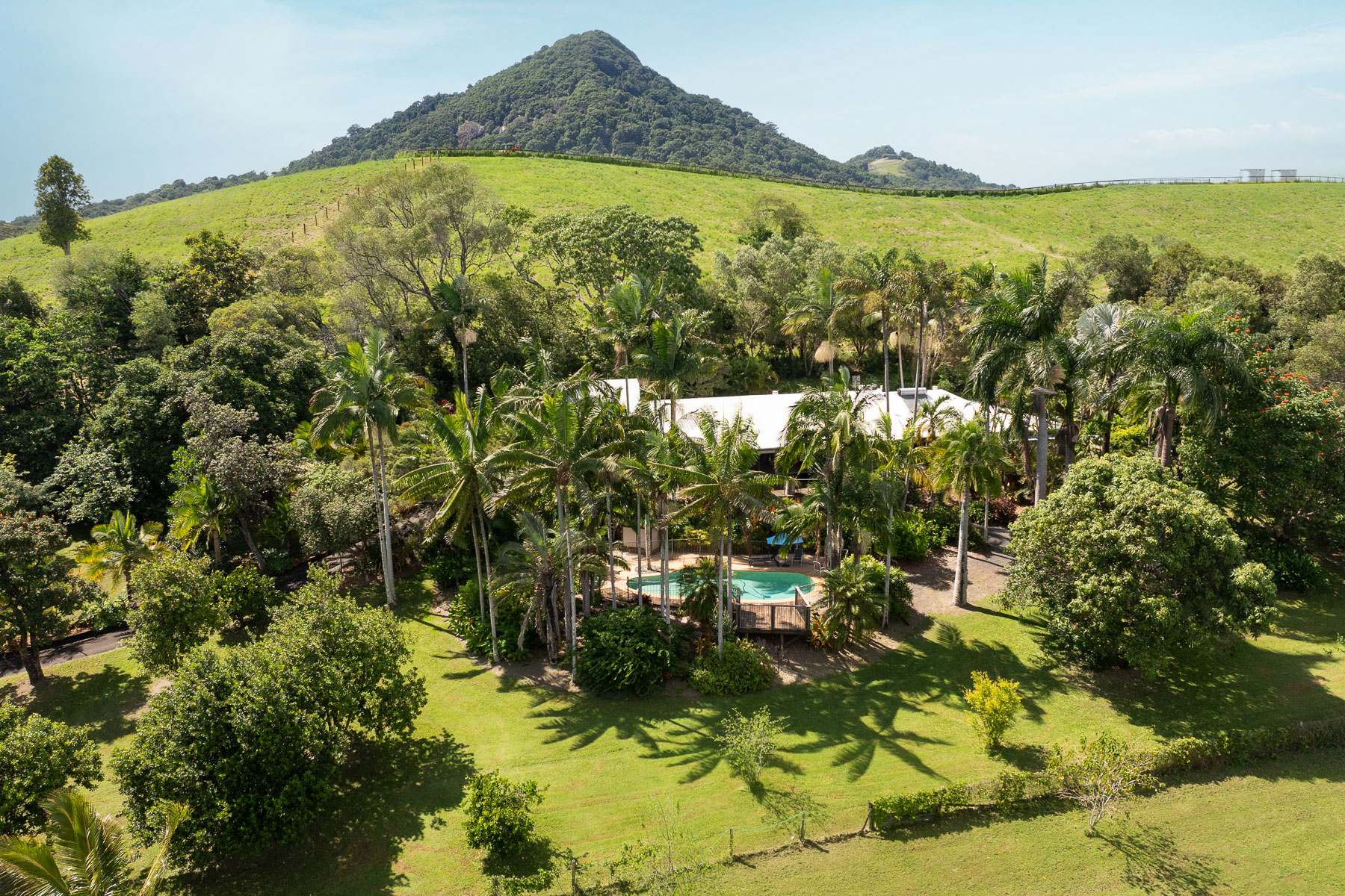 262 Cooroy Mountain Road, Cooroy Mountain For Sale by Farmbuy.com - image 25