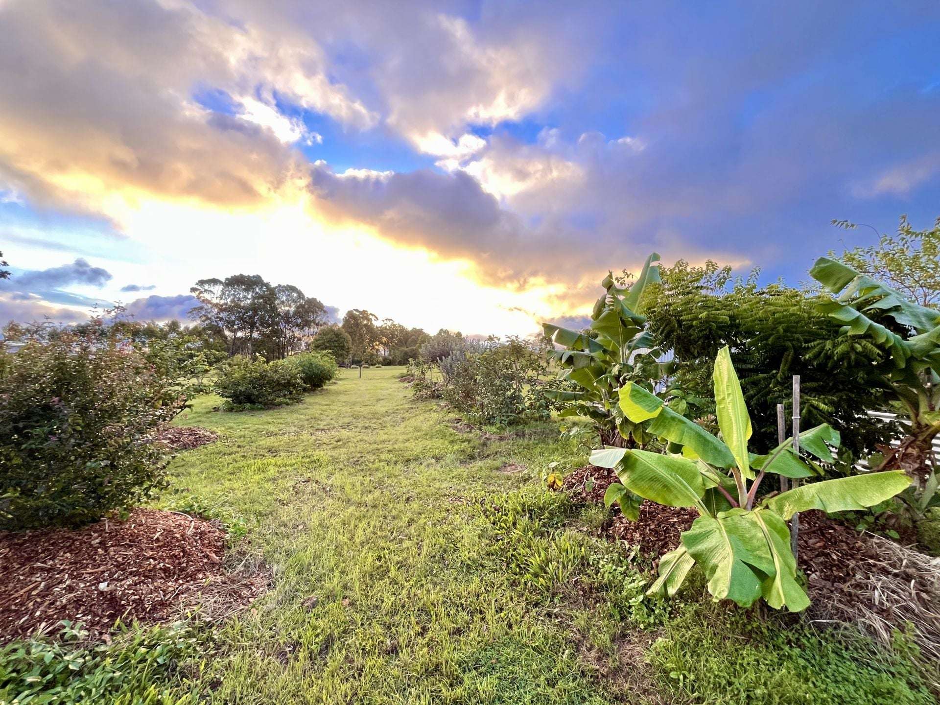 84 Gordon Earl Drive, Millstream For Sale by Farmbuy.com - image 23