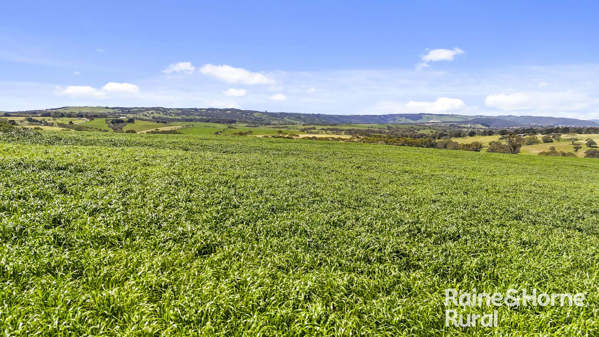 25 Nosworthy Road, Inman Valley For Sale by Farmbuy.com - image 9