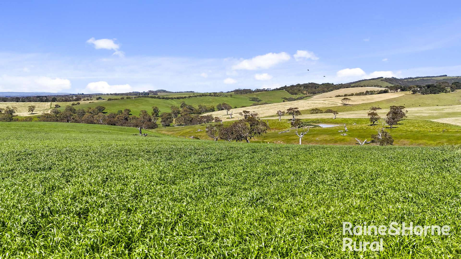 25 Nosworthy Road, Inman Valley For Sale by Farmbuy.com - image 6