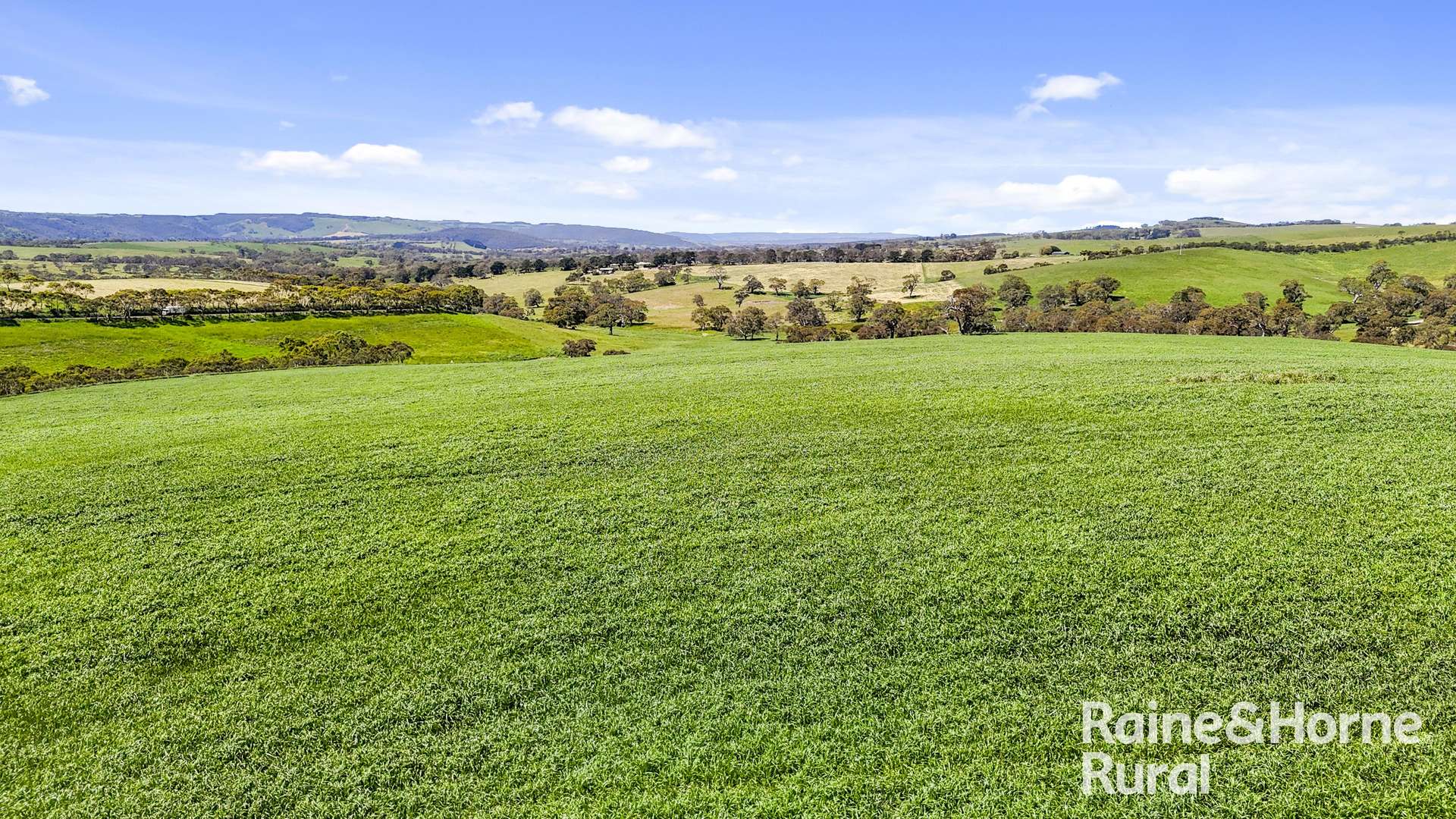 25 Nosworthy Road, Inman Valley For Sale by Farmbuy.com - image 11