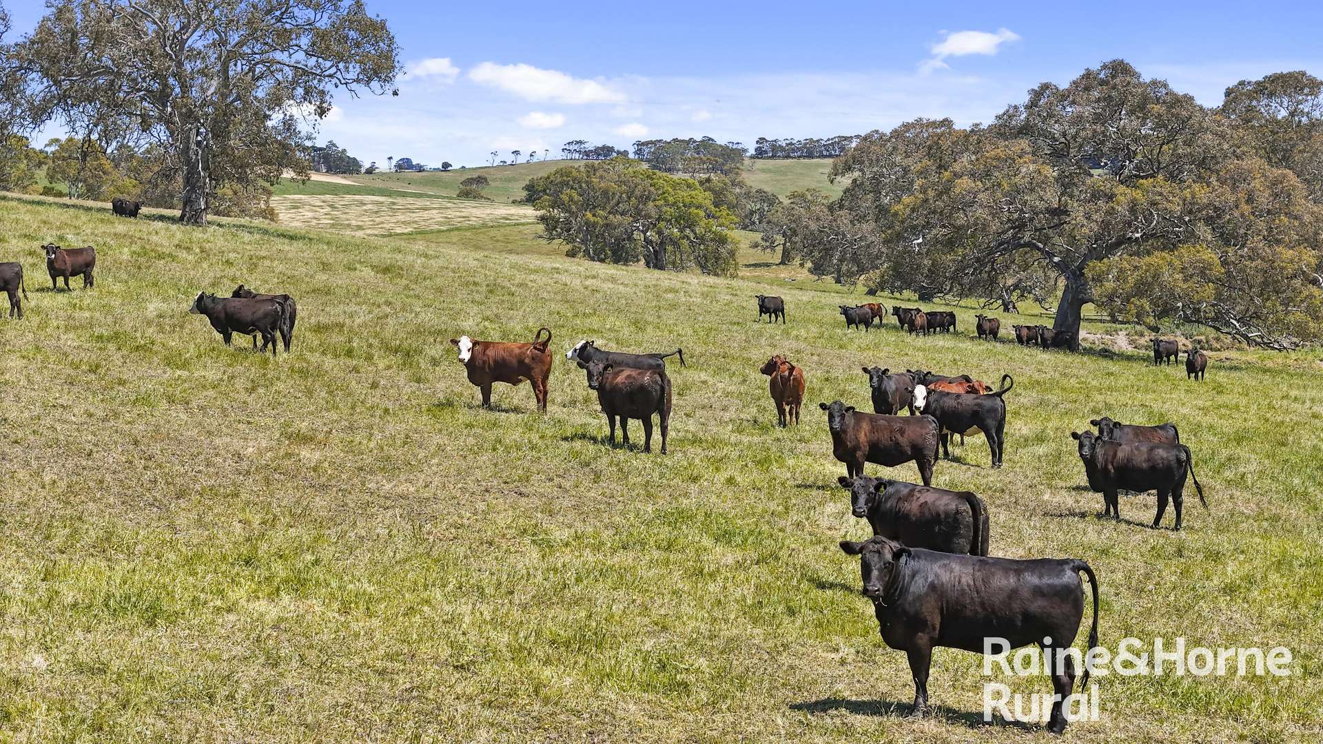 25 Nosworthy Road, Inman Valley For Sale by Farmbuy.com - image 4