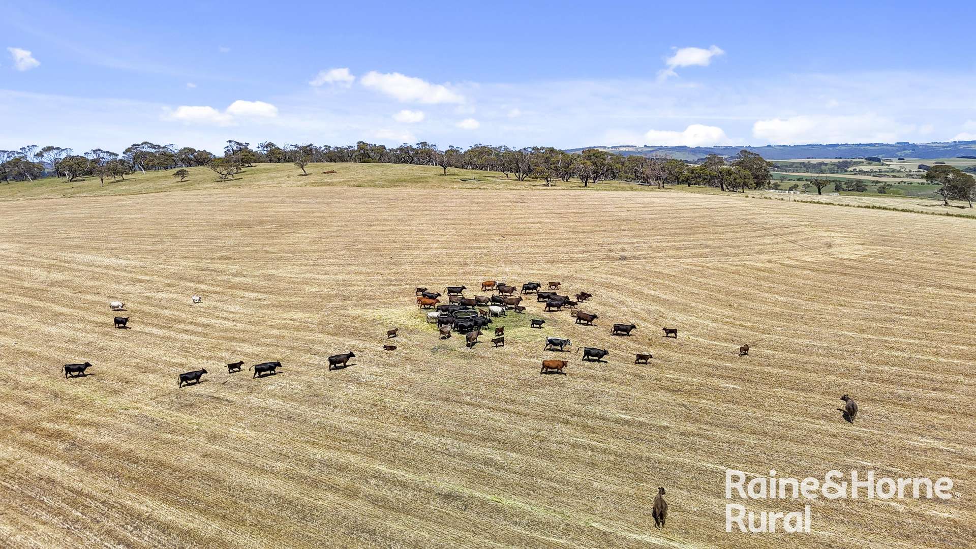 433 James Track, Inman Valley For Sale by Farmbuy.com - image 20