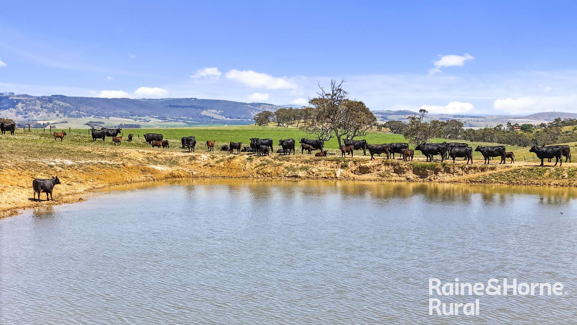 433 James Track, Inman Valley For Sale by Farmbuy.com - image 5