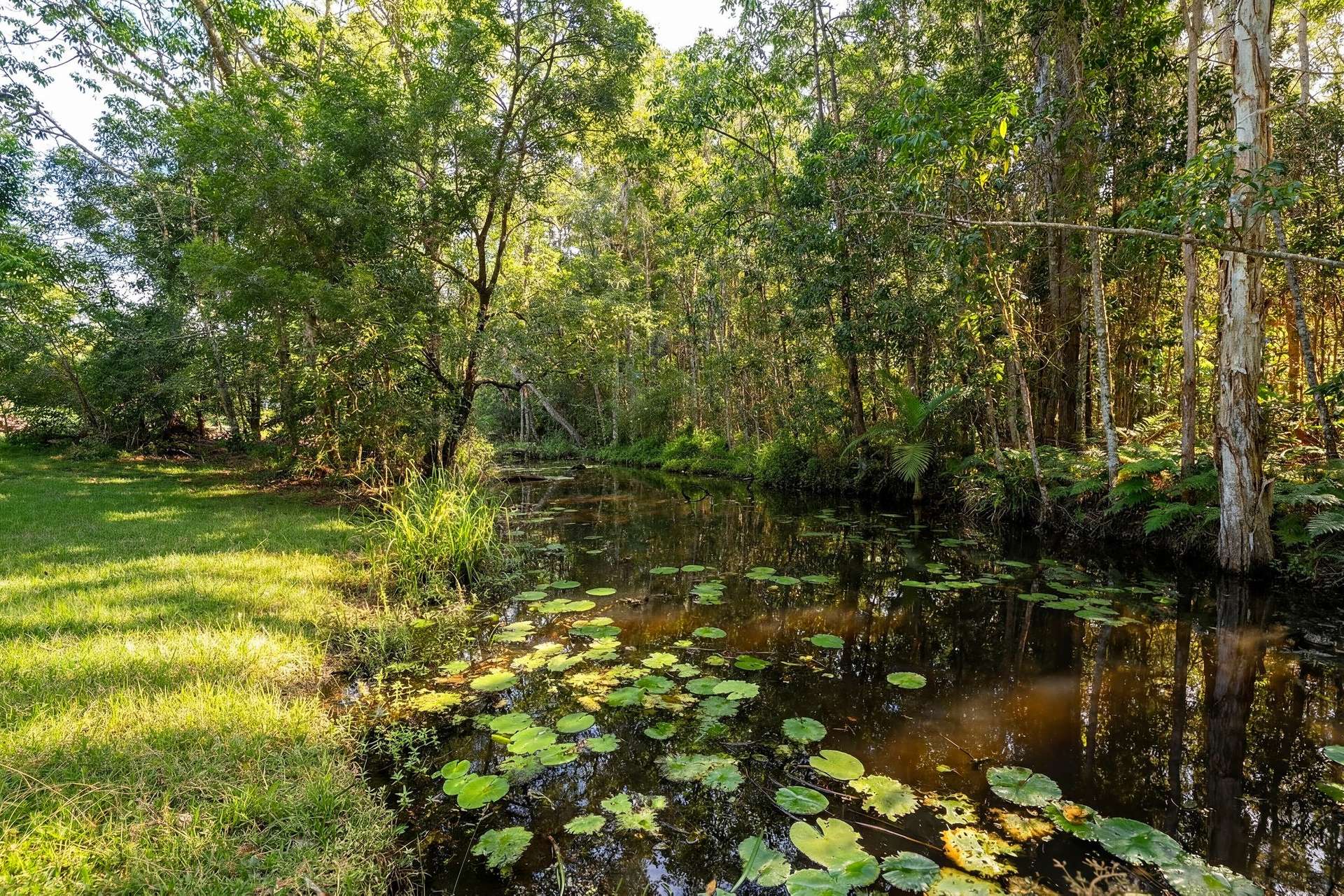 15 Mallee Close, Doonan Auction by Farmbuy.com - image 15