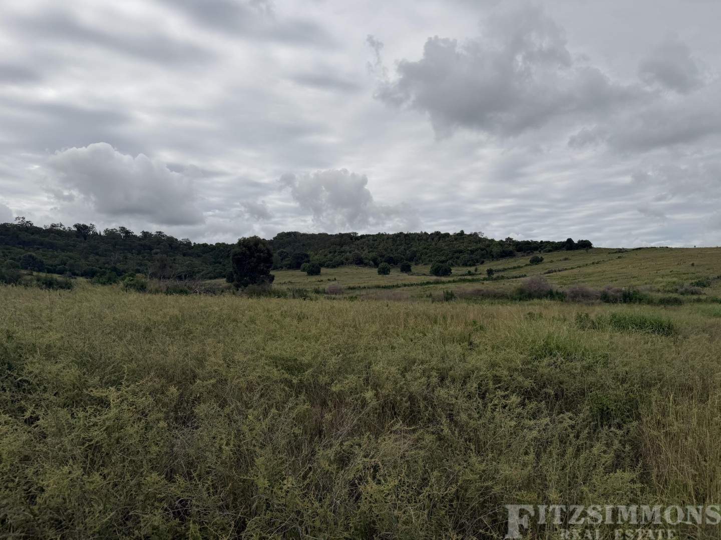 Kaimkillenbun For Sale by Farmbuy.com - image 6