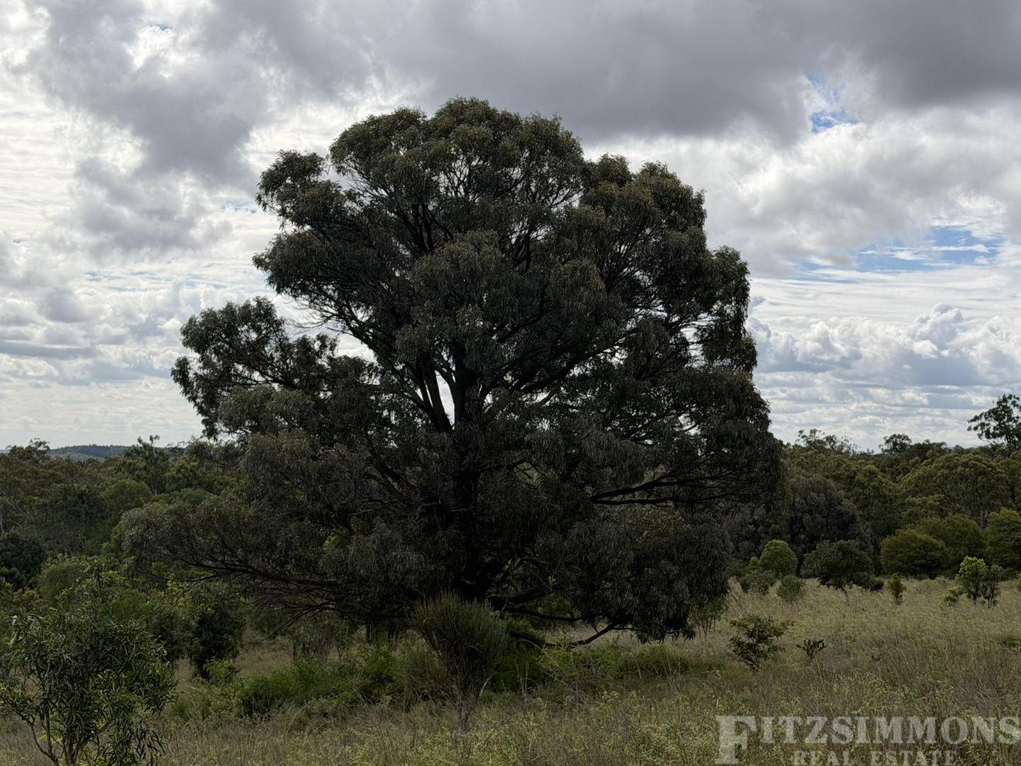 Kaimkillenbun For Sale by Farmbuy.com - image 8