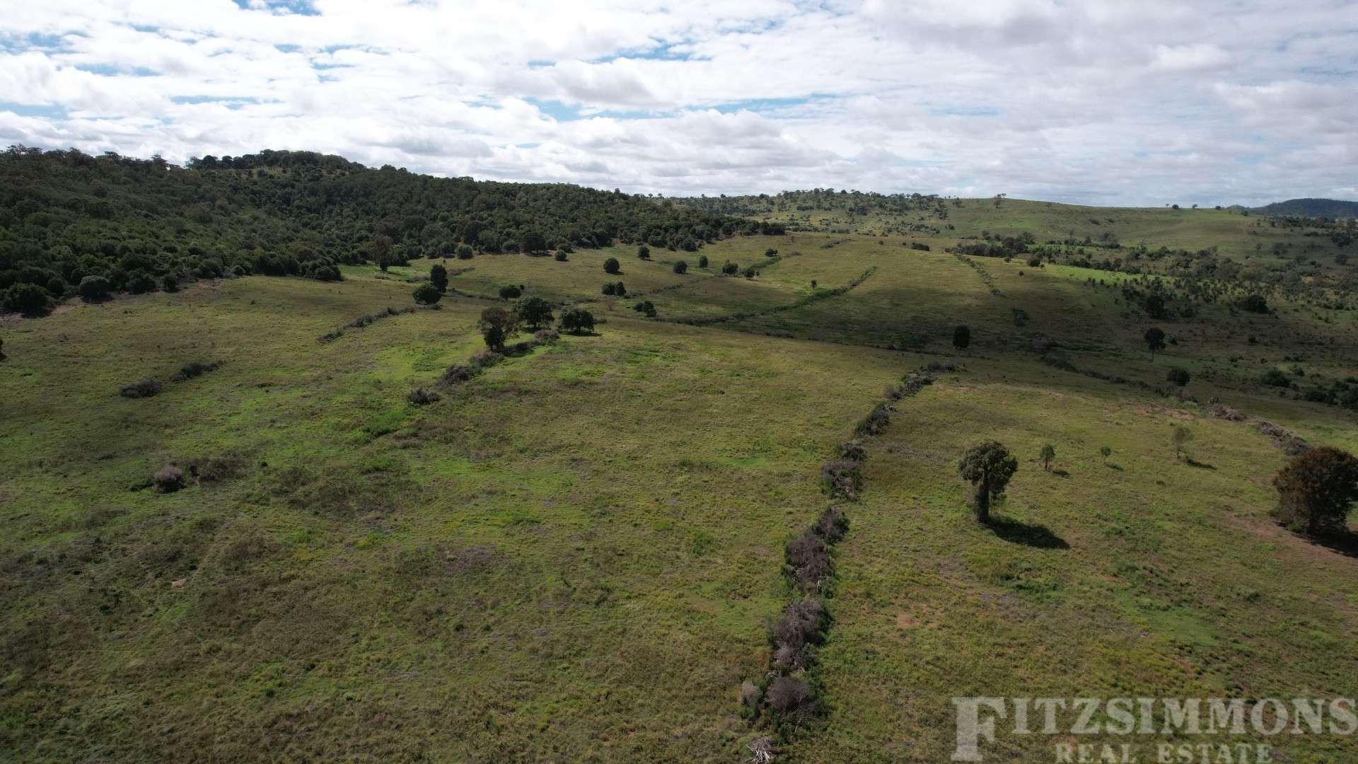 Kaimkillenbun For Sale by Farmbuy.com - image 3