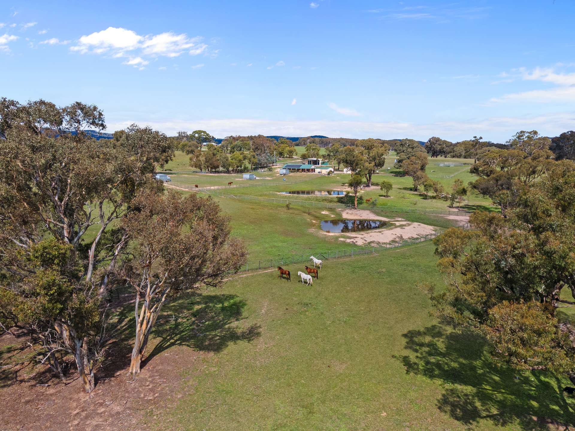 1305 Carlwood Road, O'Connell Sold by Farmbuy.com - image 26