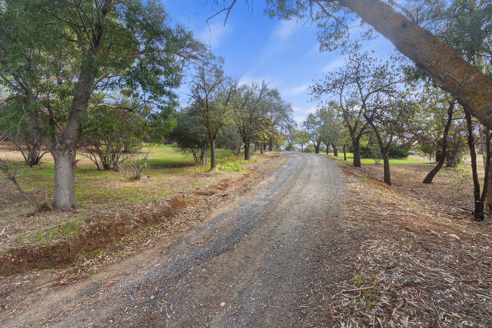 6 Bindarrah Road, Clare For Sale by Farmbuy.com - image 27