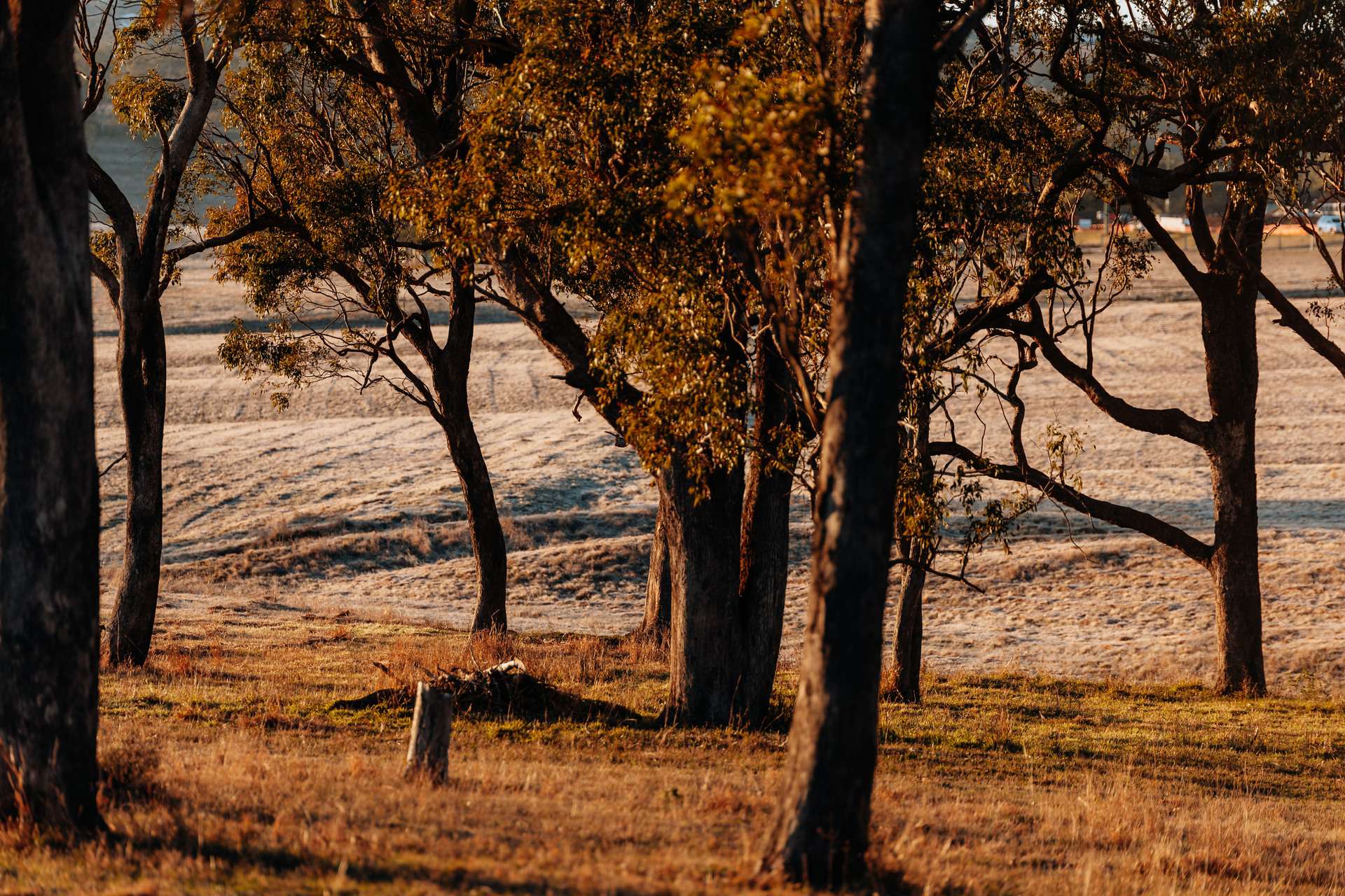 Lot 1, 20 Peters Road, Meringandan West Sold by Farmbuy.com - image 20