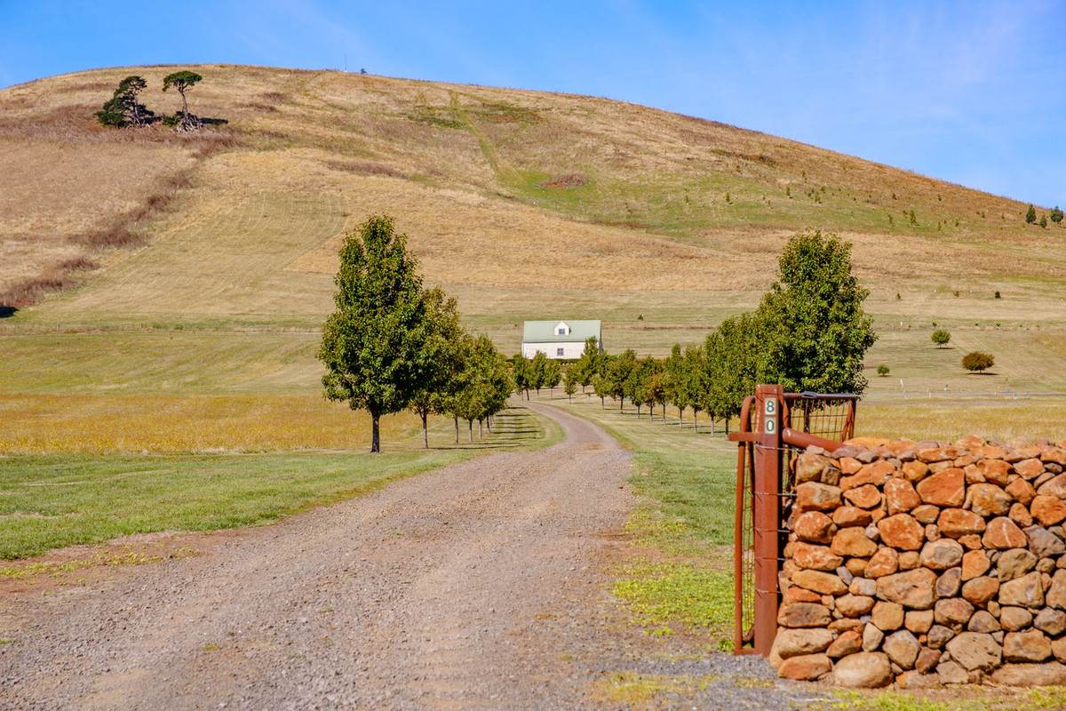 80 Victoria Road, Kingston For Sale by Farmbuy.com - image 3