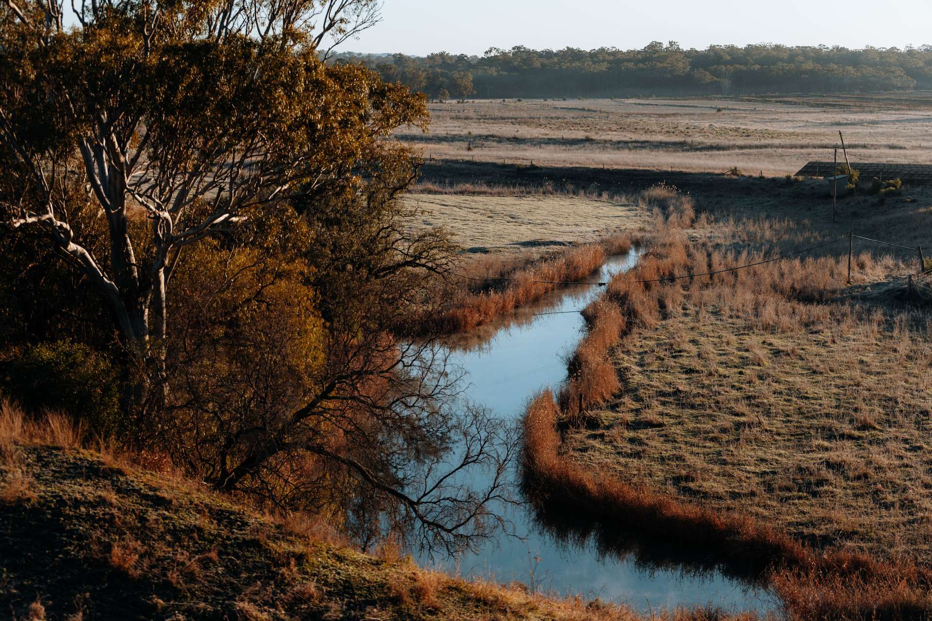 Lot 5, 20 Peters Road, Meringandan West For Sale by Farmbuy.com - image 14