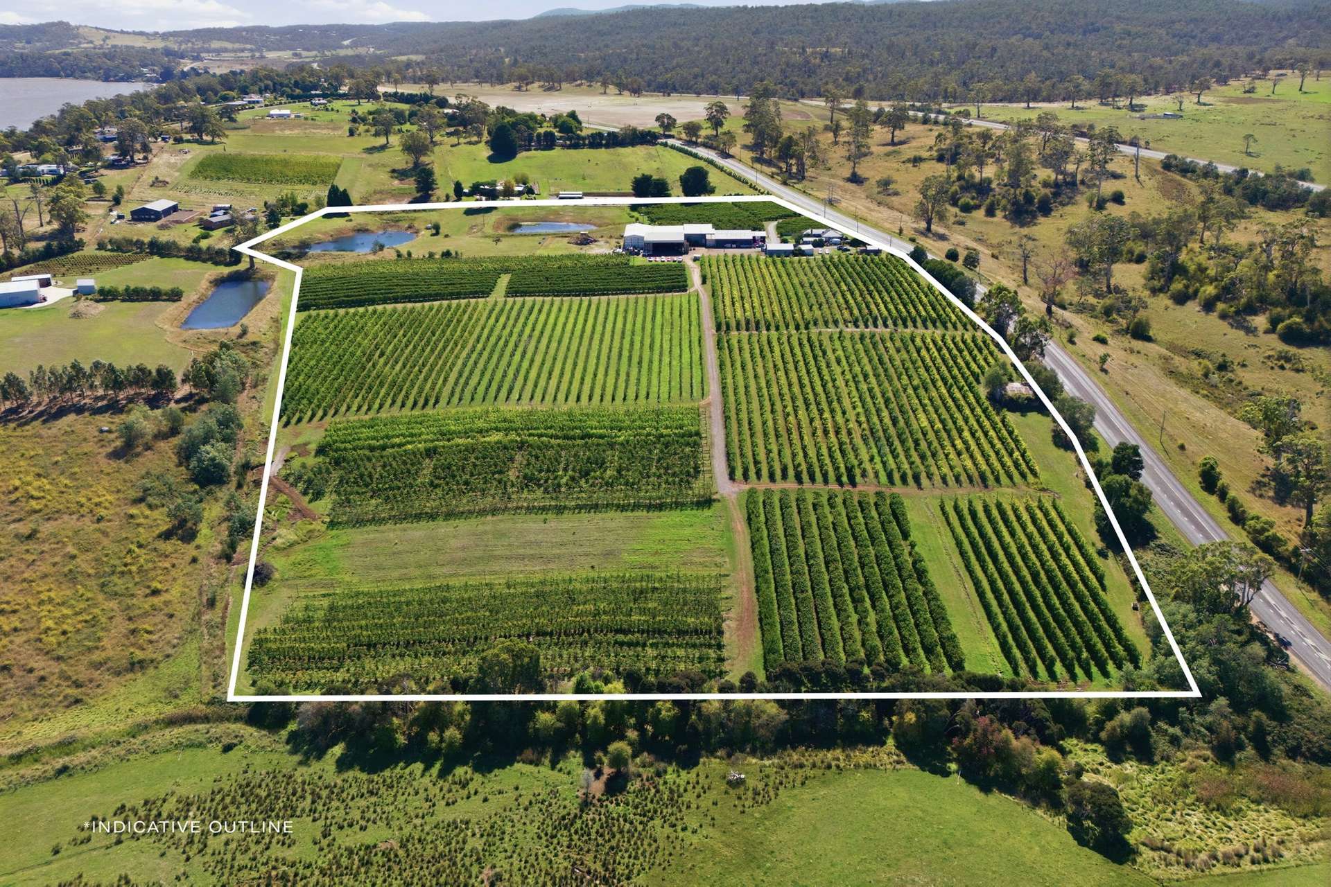 161 John Lees Drive, Dilston For Sale by Farmbuy.com - image 2