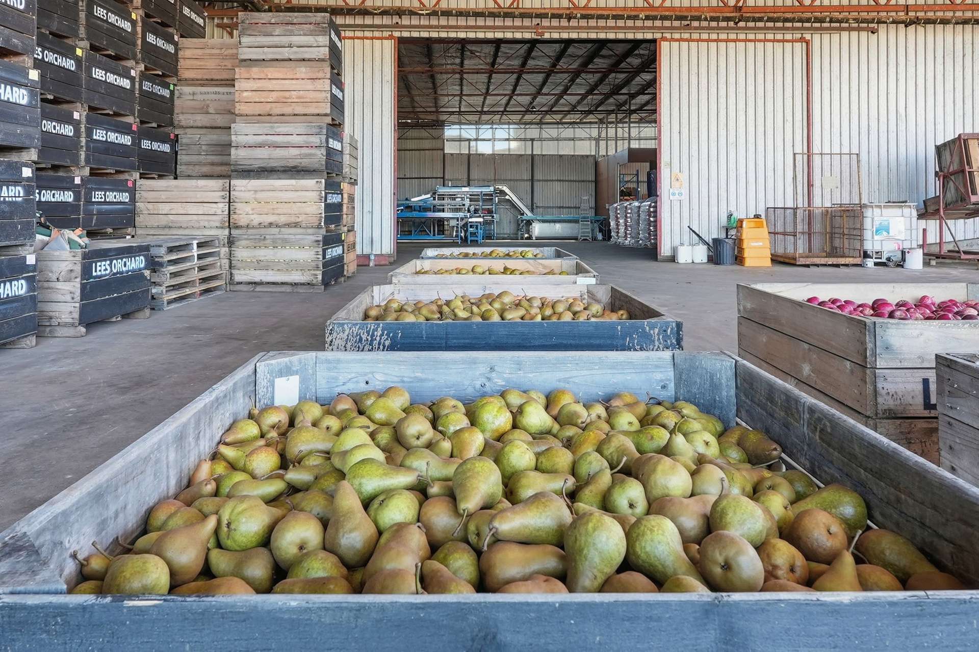 161 John Lees Drive, Dilston For Sale by Farmbuy.com - image 11