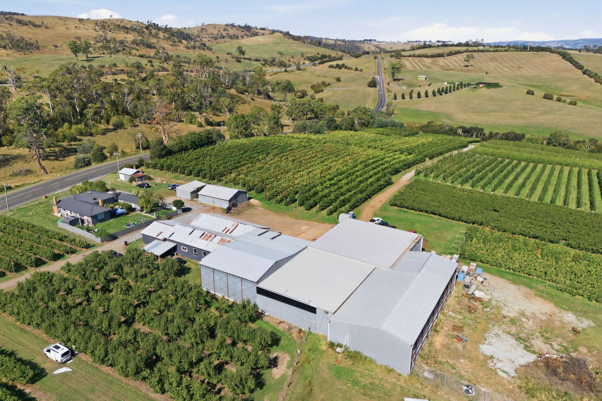 161 John Lees Drive, Dilston For Sale by Farmbuy.com - image 3