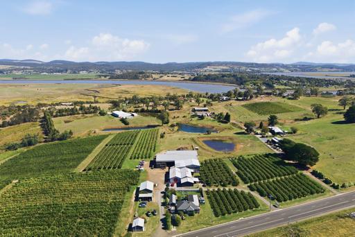 Farm For Sale - TAS - Dilston - 7252 - A Proven Orchard Legacy in the Tamar Valley 