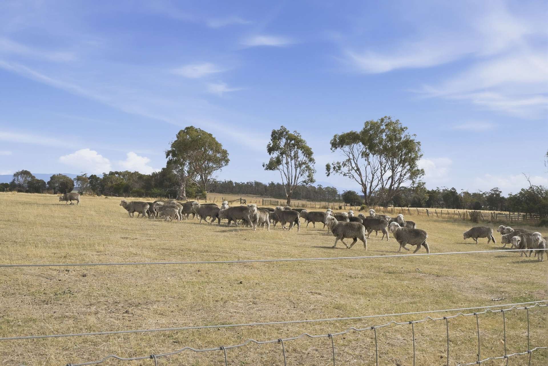 411 Bryants Lane, Deddington For Sale by Farmbuy.com - image 27