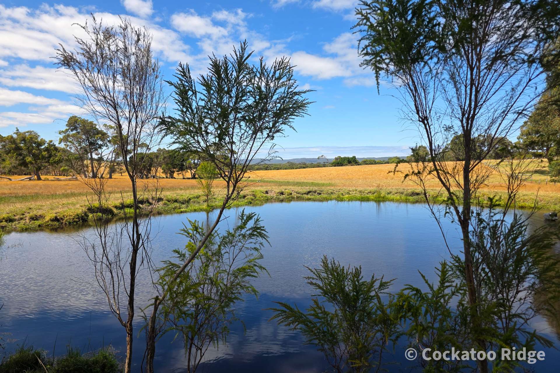 96 Rudgyard Place, Hay For Sale by Farmbuy.com - image 6