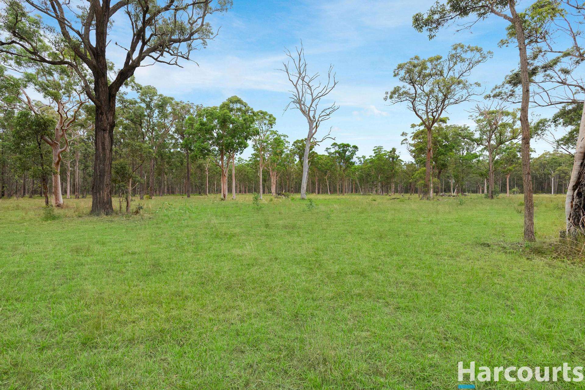 571A The Bucketts Way, Limeburners Creek For Sale by Farmbuy.com - image 29