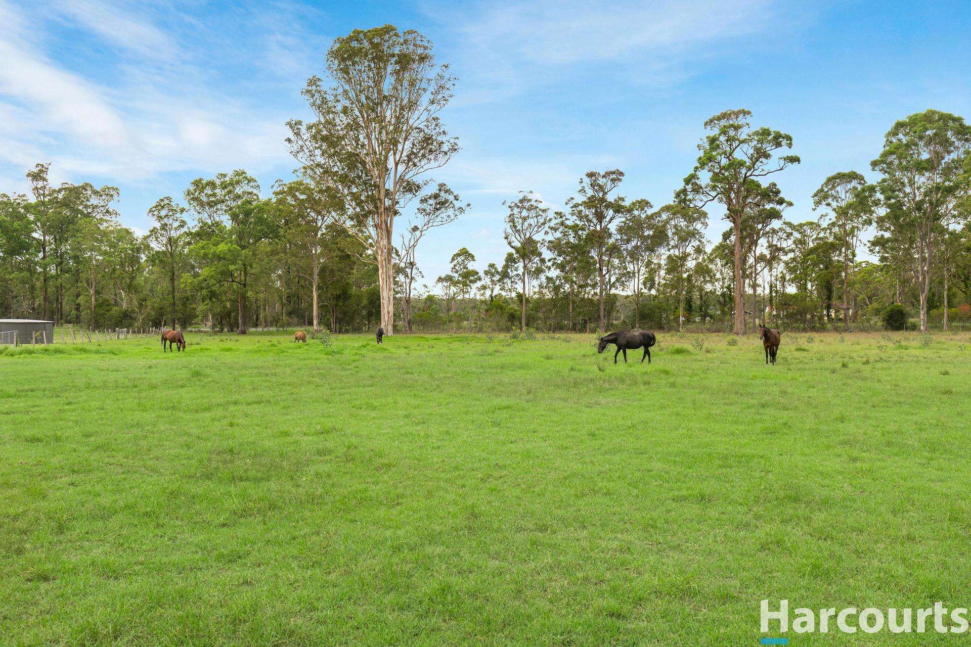 571A The Bucketts Way, Limeburners Creek For Sale by Farmbuy.com - image 30