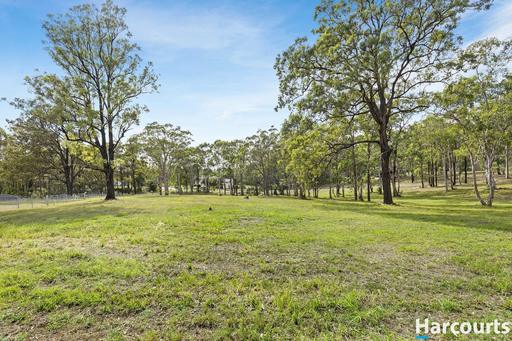 Farm For Sale - NSW - Clarence Town - 2321 - A Natural Haven to Build Your Home Among Trees, Wildlife & Tranquillity 