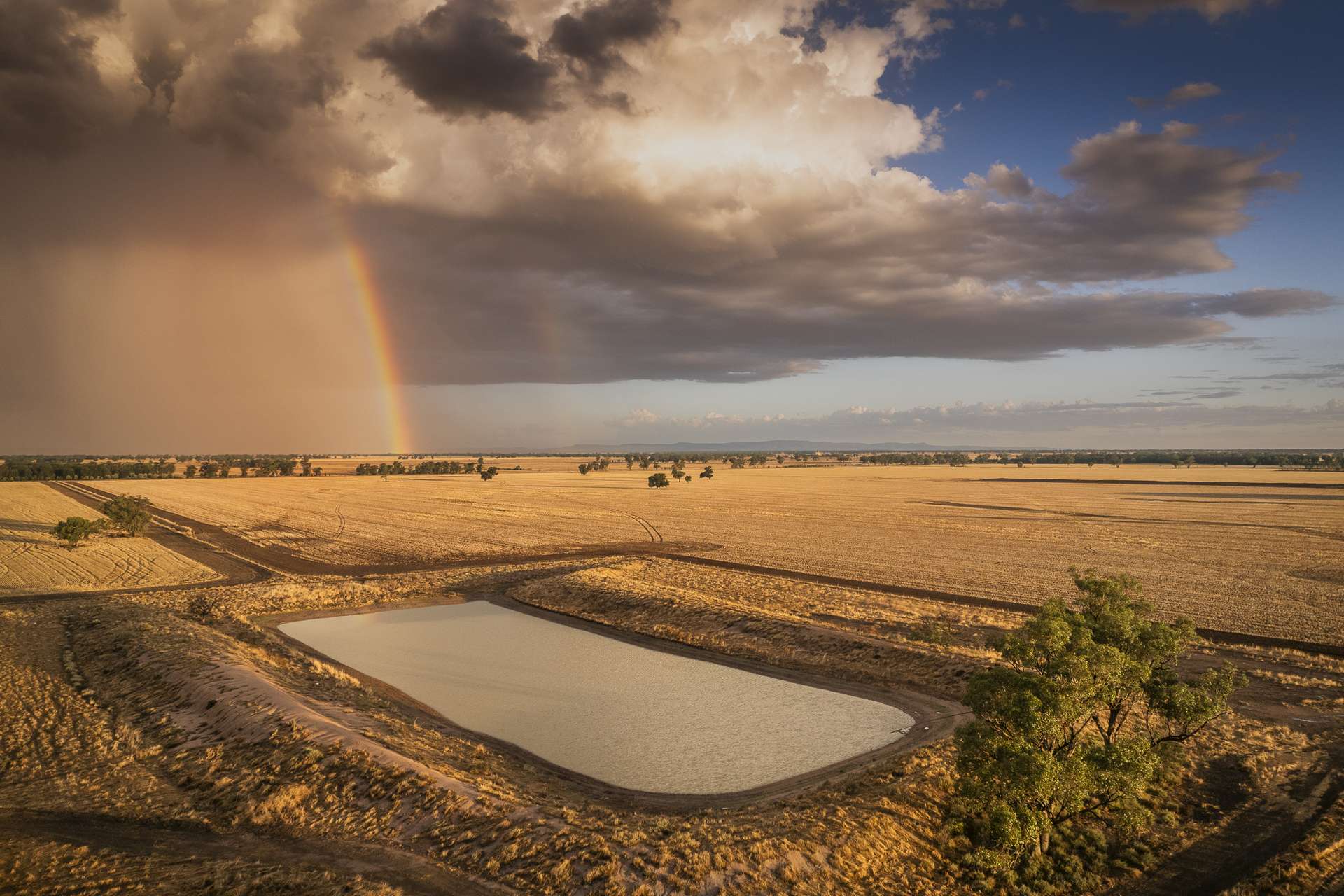 1048 Wyanga Road, Narromine Auction by Farmbuy.com - image 4
