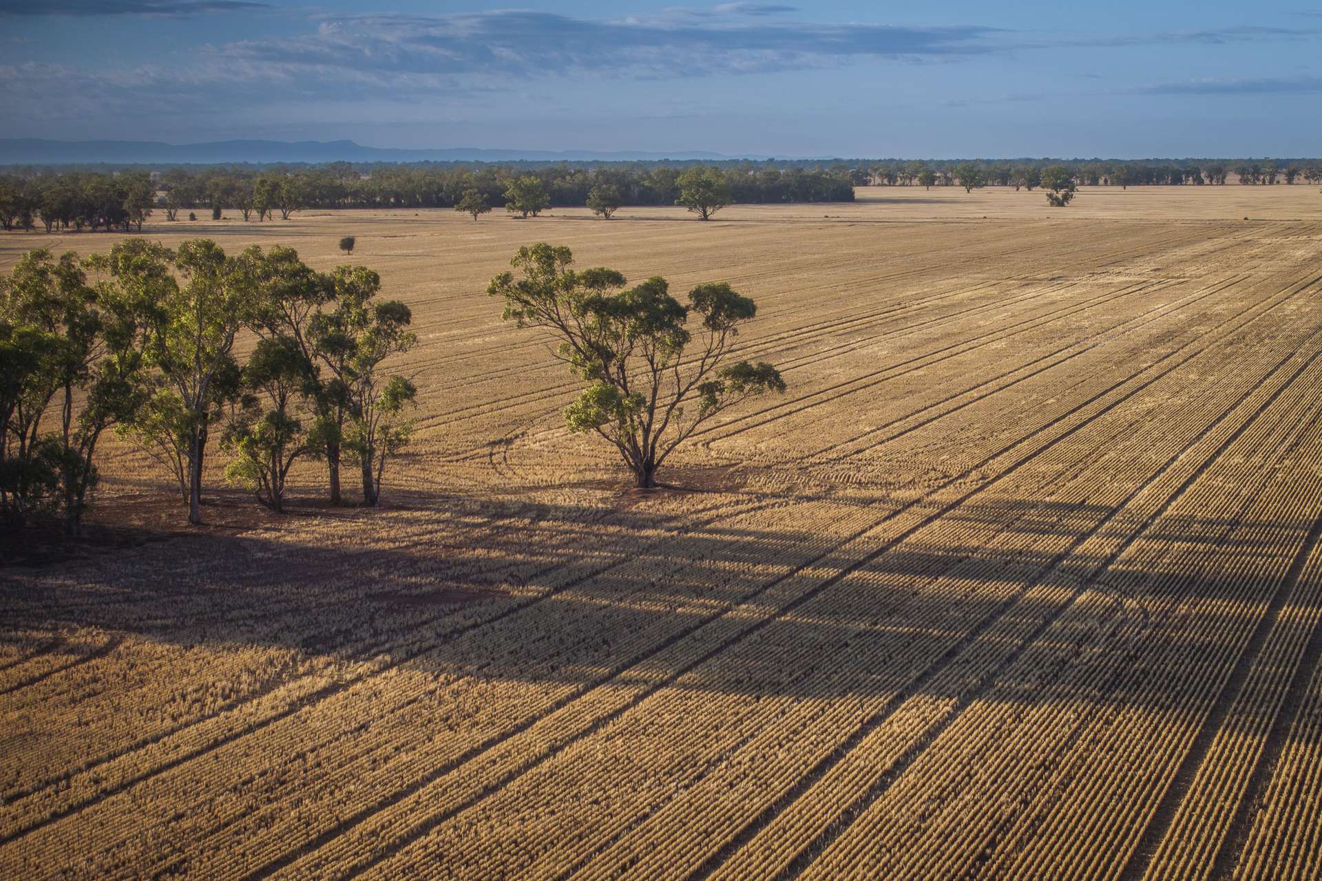 1048 Wyanga Road, Narromine Auction by Farmbuy.com - image 6