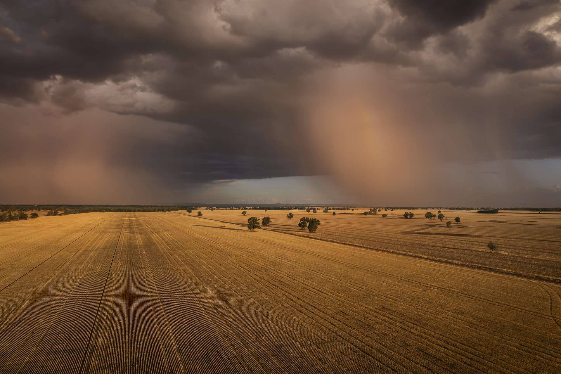 1048 Wyanga Road, Narromine Auction by Farmbuy.com - image 32